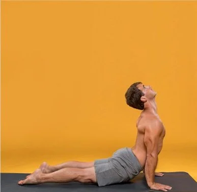 Drastically improved and regenerated