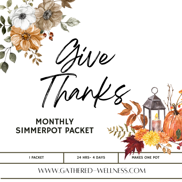 Simmer Pot Packet - Give Thanks