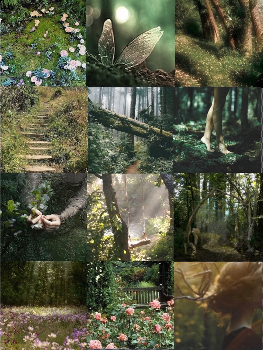 trees (1).jpg