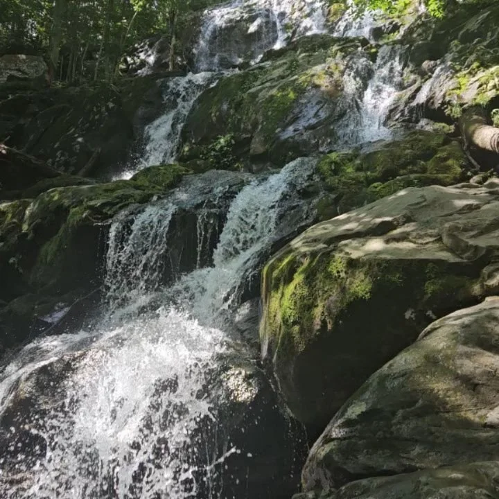 Seeking and finding peace and inspiration in the Blue Ridge Mountains on Skyline Drive β°οΈππ©΅
.
.
.
#travel #blueridgemountains #skylinedrive #shenandoahnationalpark
