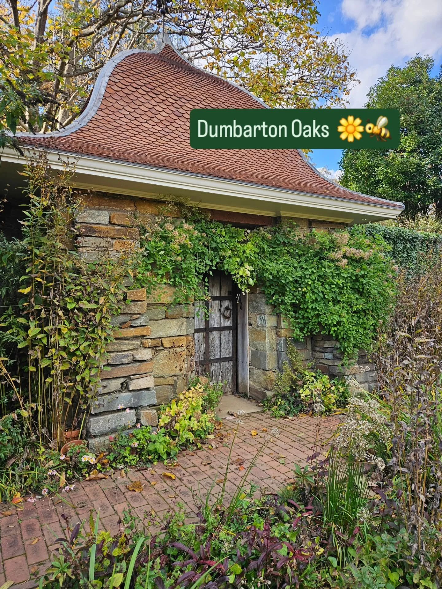 Lovely day trip to DC with my one and only @barredowlart. He knows exactly what kind of surprise I love. I'm feeling very inspired for my garden ceramics!
.
I'm working toward my MA Ceramics show in March of entirely garden-inspired wares, pots, and 