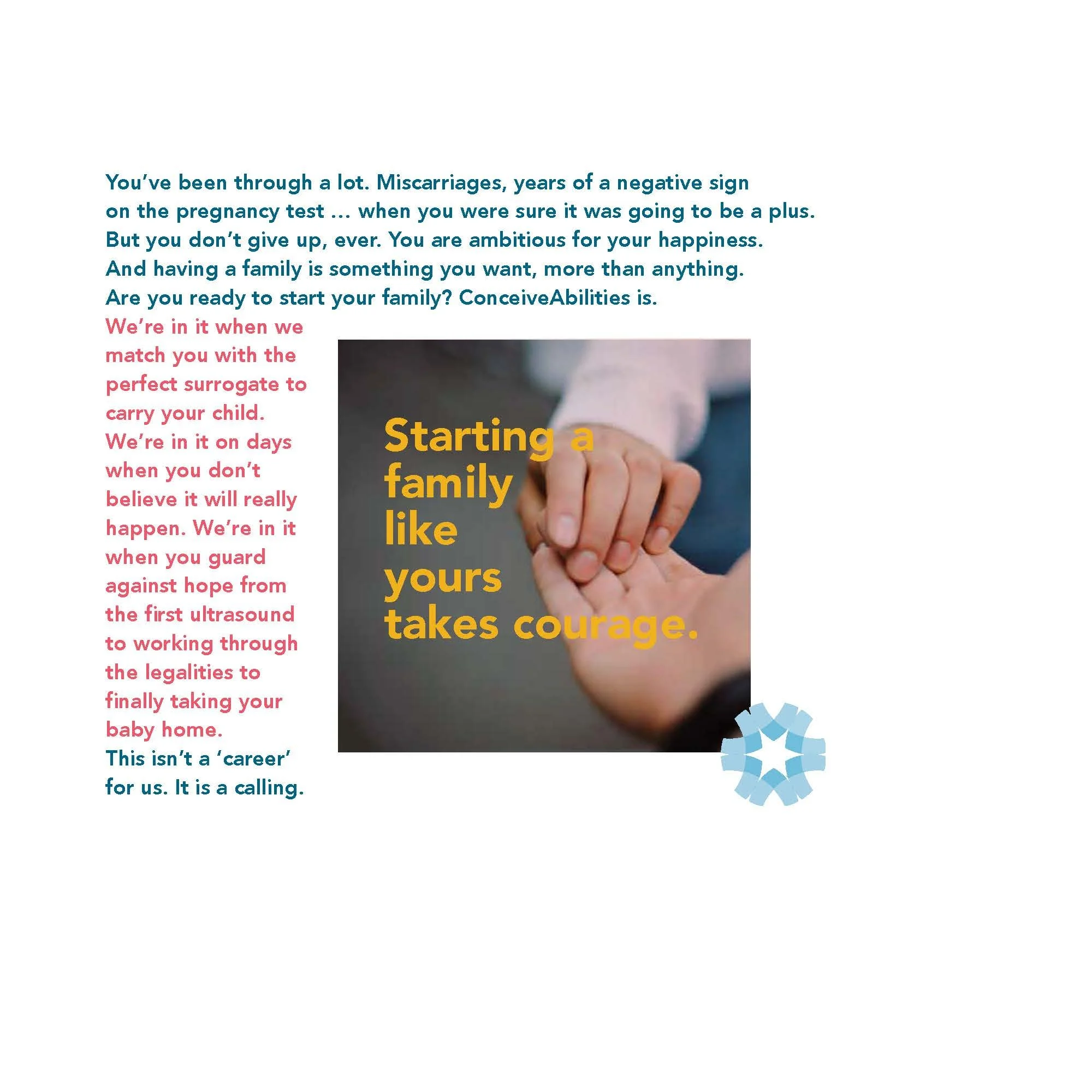 ConceiveAbilites_Brandbook_Page_43.jpg