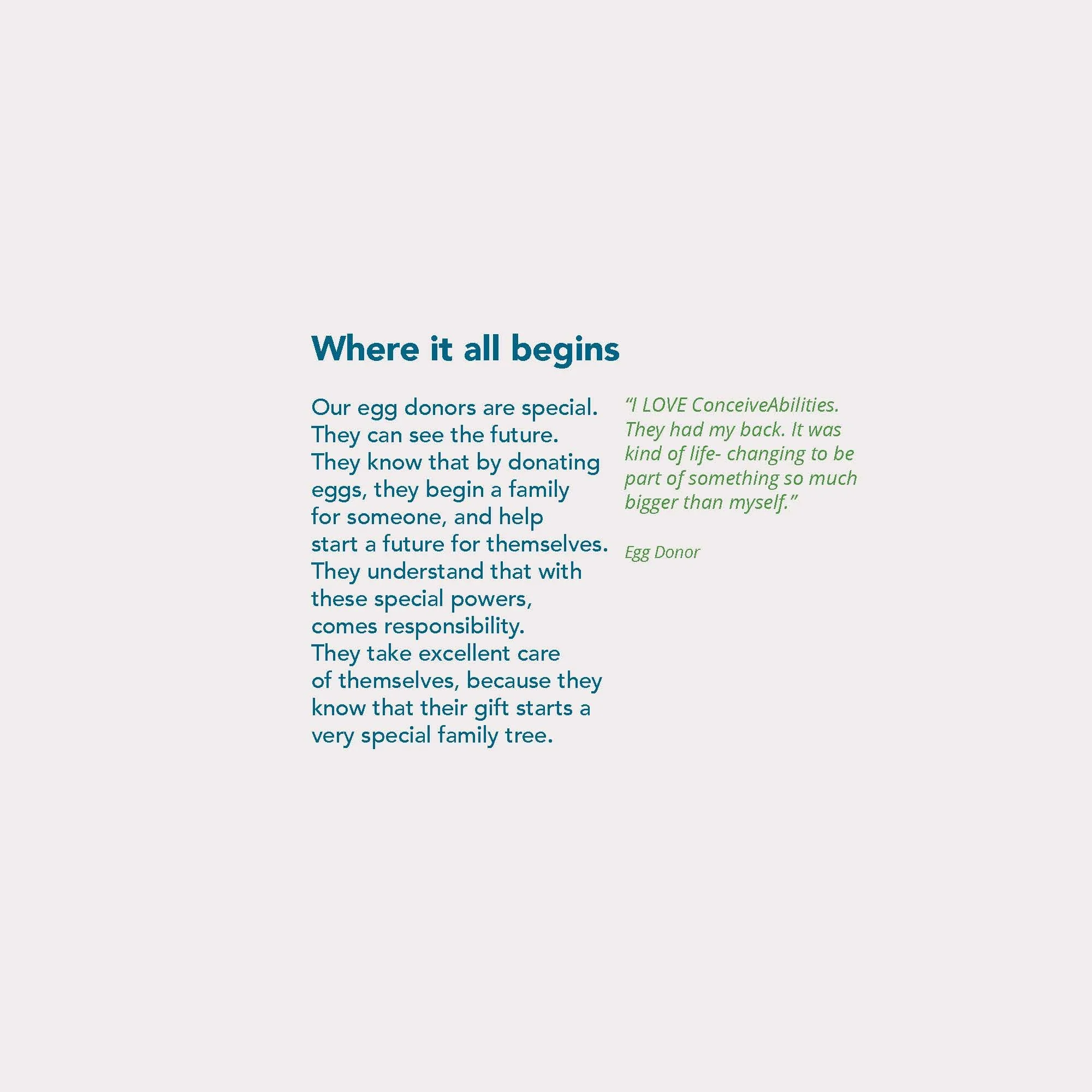 ConceiveAbilites_Brandbook_Page_20.jpg
