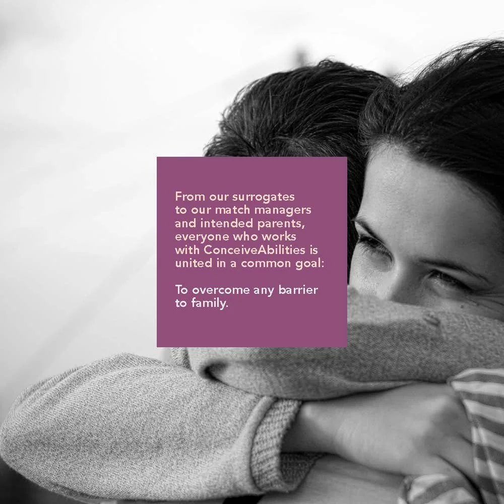 ConceiveAbilites_Brandbook_Page_13.jpg