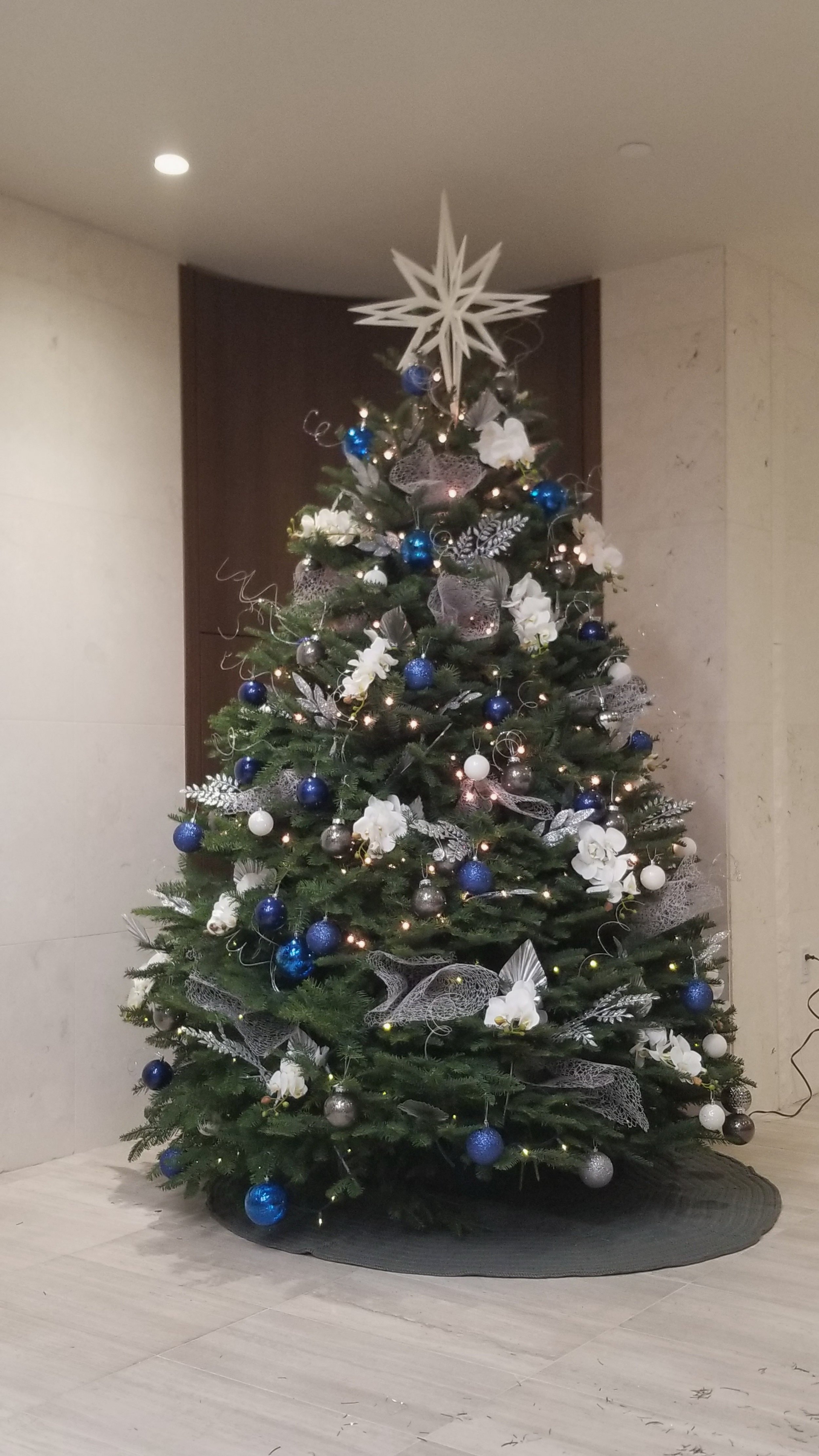 20211119_215352.jpg