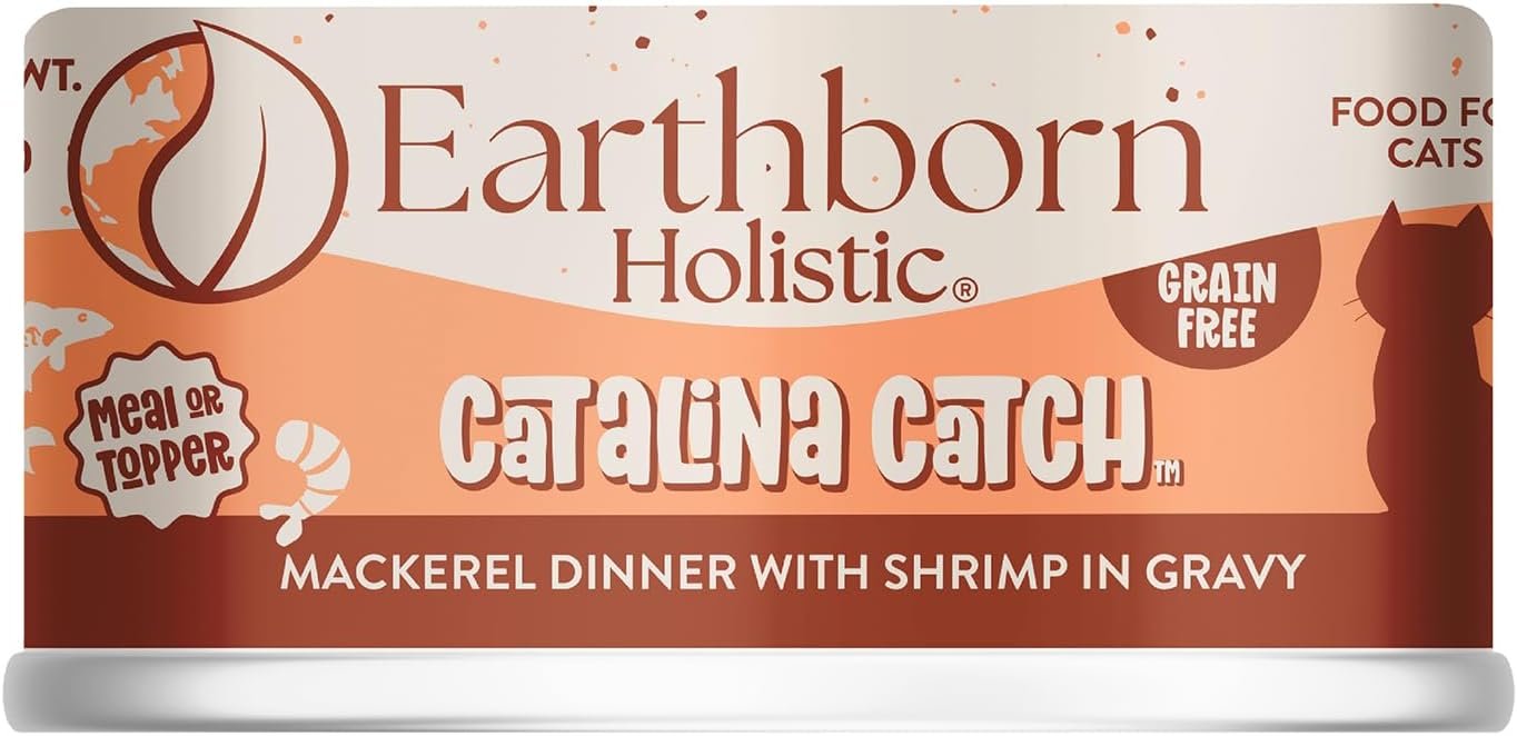 Can Catalina Catch.jpg