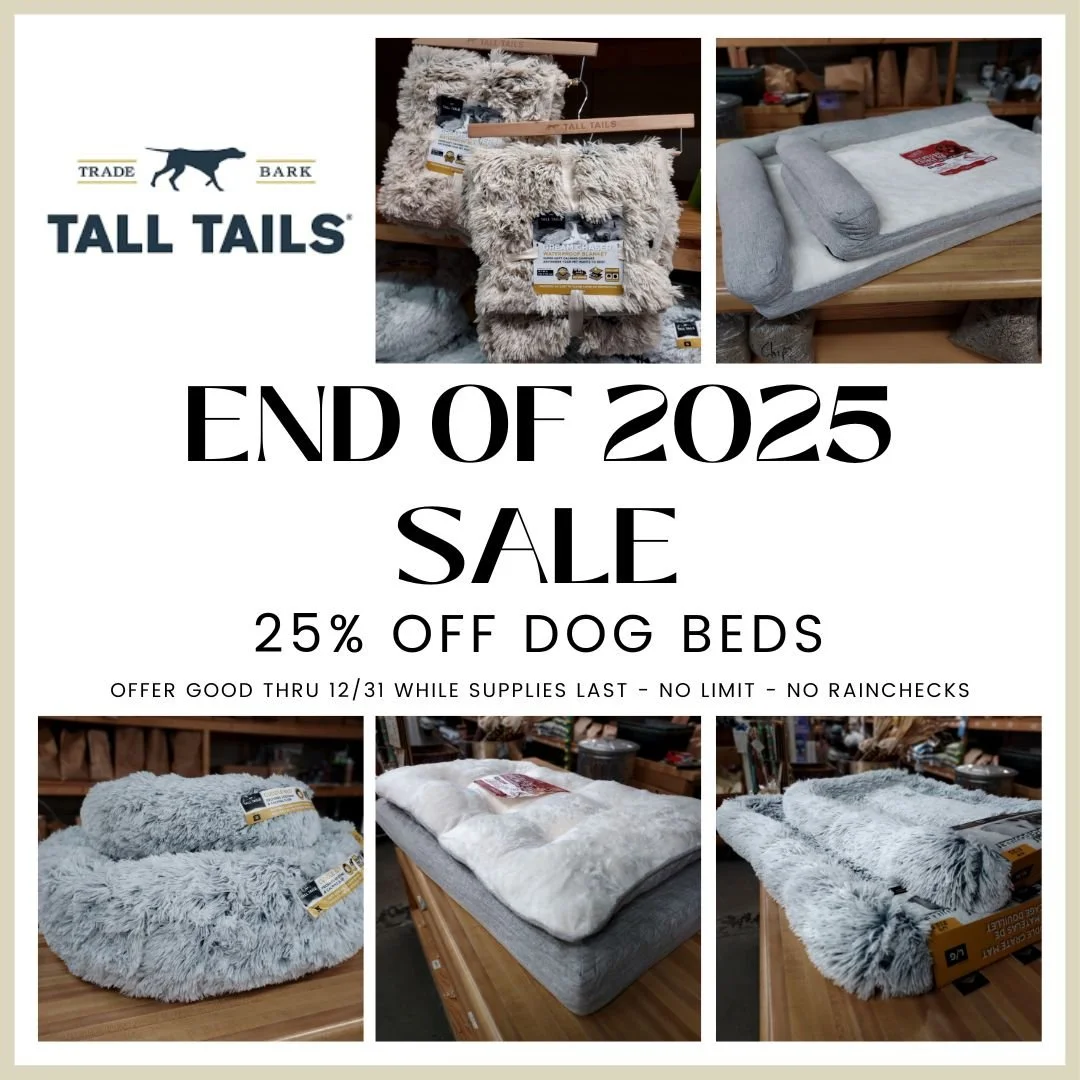 December 2025_Tall Tails Dog Beds.jpg