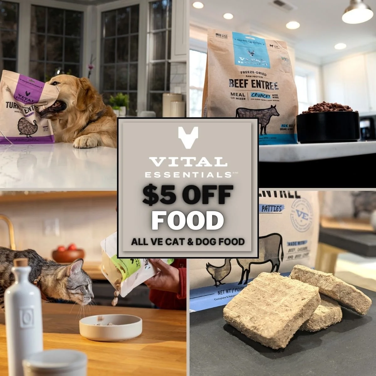 Jan_VE 5 dollars off.jpg