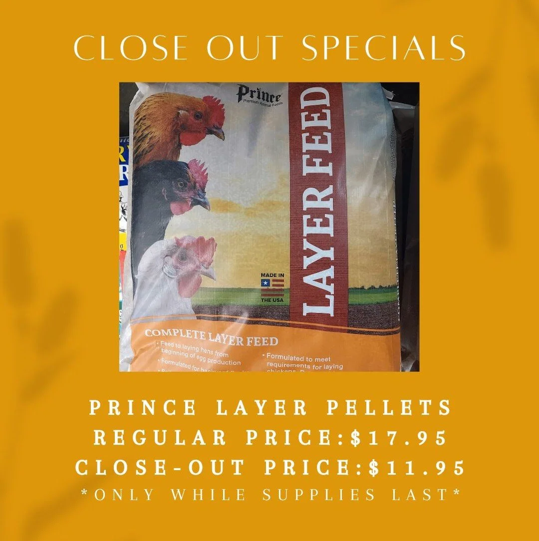 April_Layer Pellet.jpg