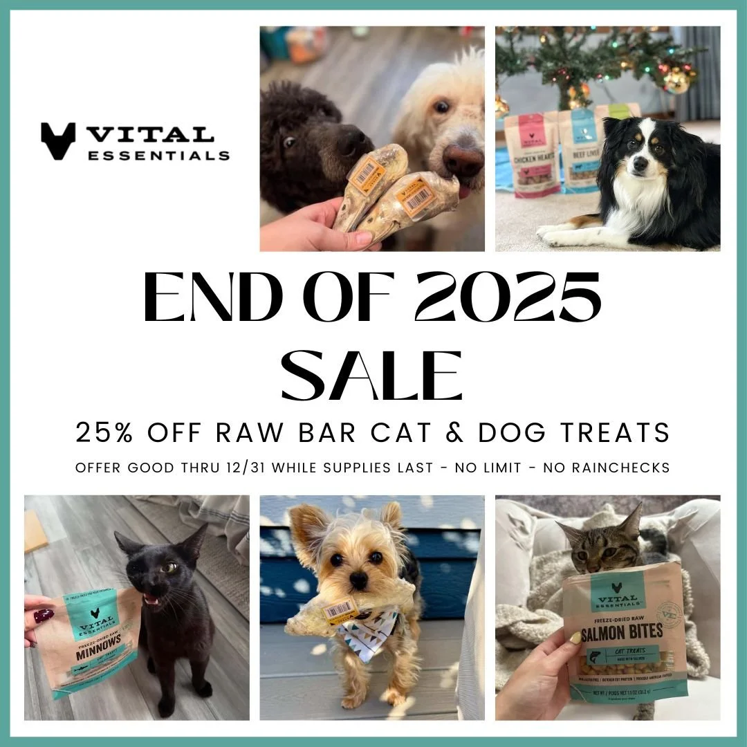 December 2025_VE Raw Bar.jpg