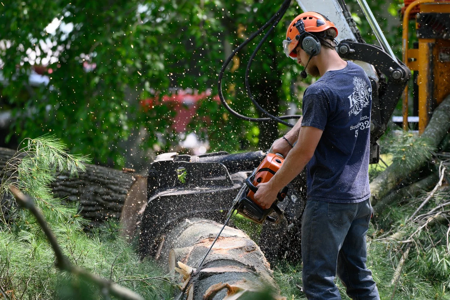 simple-truth-imaging-tree-worker-tree-service-trimming.jpg