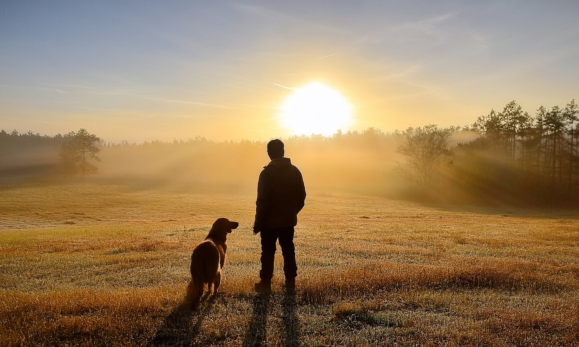 man looks off into a sunrise with his golden retriever by his side