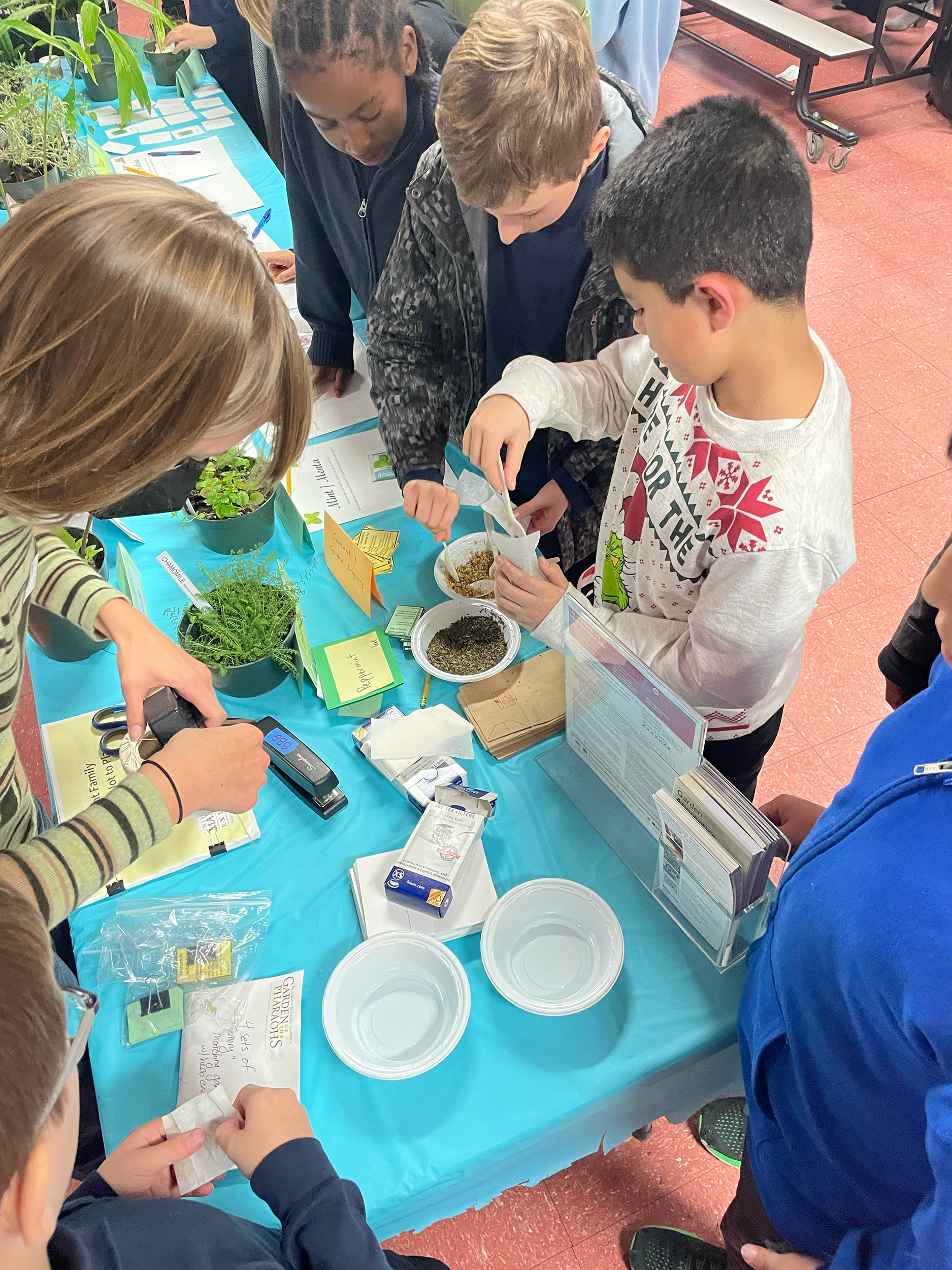 Botanical Garden Workshop at MS577