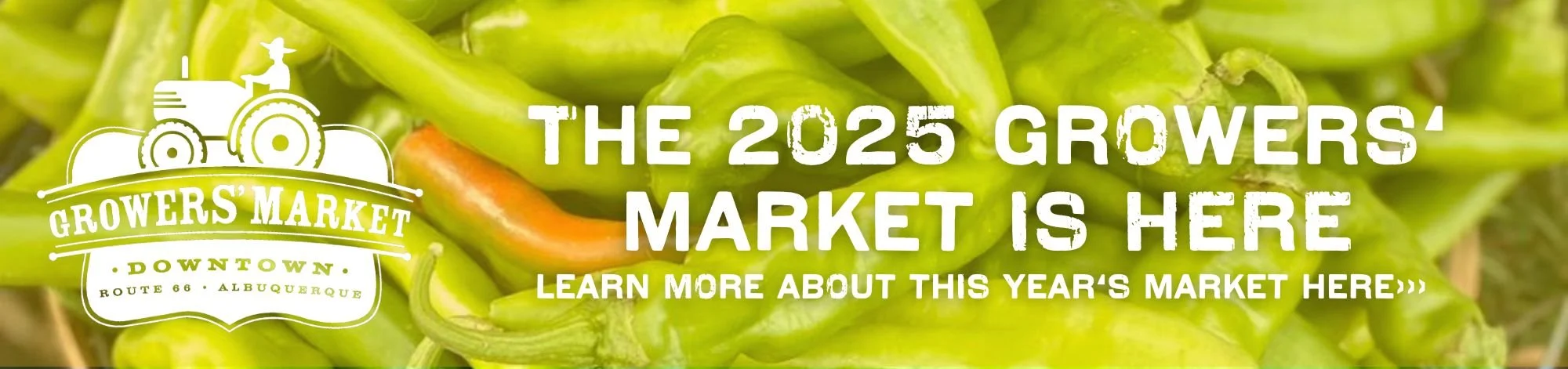 Web Banner .jpg