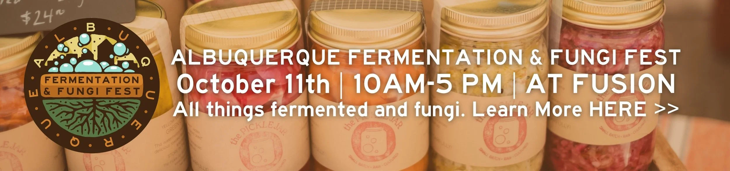 ABQFFF Web Banner  (1).jpg