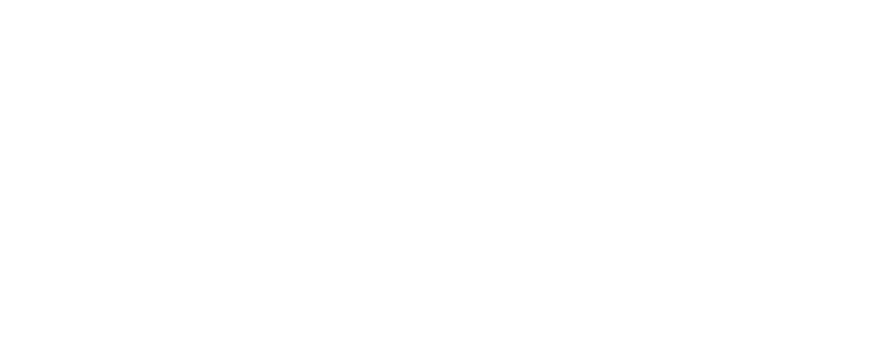 Intersect Inc.