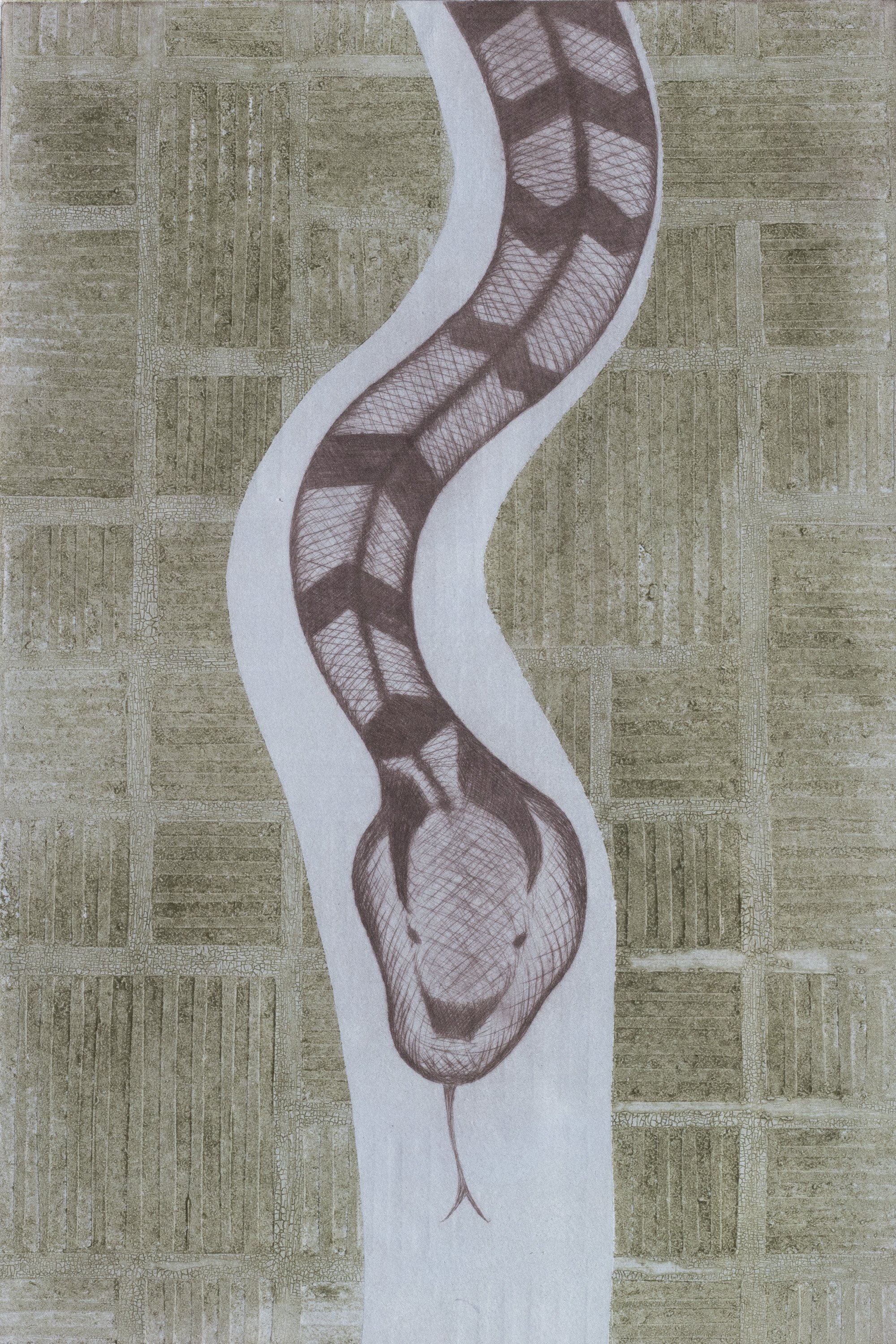 The Snake I Know III (2024) - Plexi glass intaglio, collagraph, and tint roll on paper