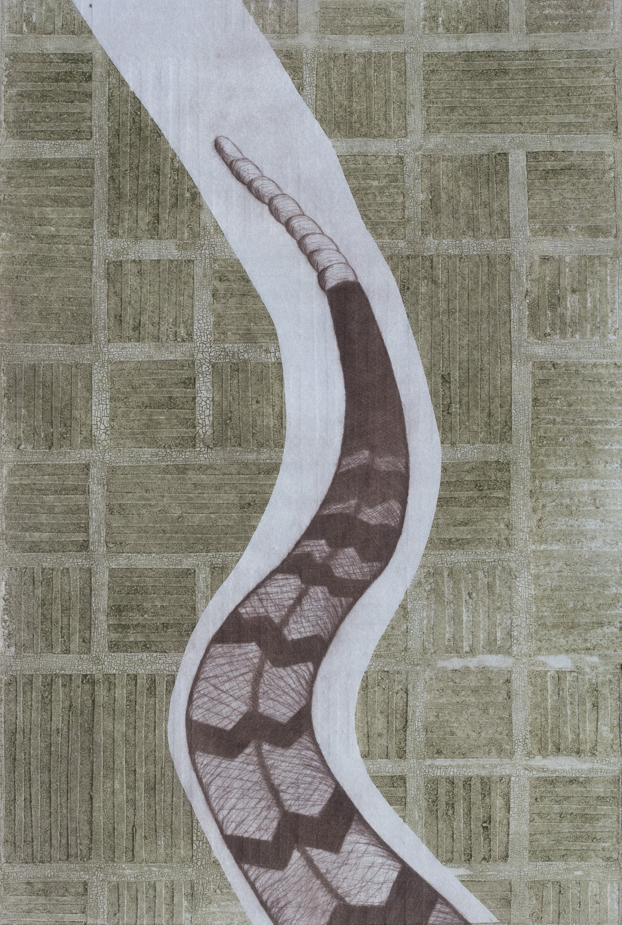The Snake I Know I (2024) - Plexi glass intaglio, collagraph, and tint roll on paper