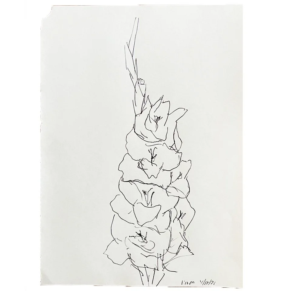 Gladiolus 1:12 pm April 18, 2026