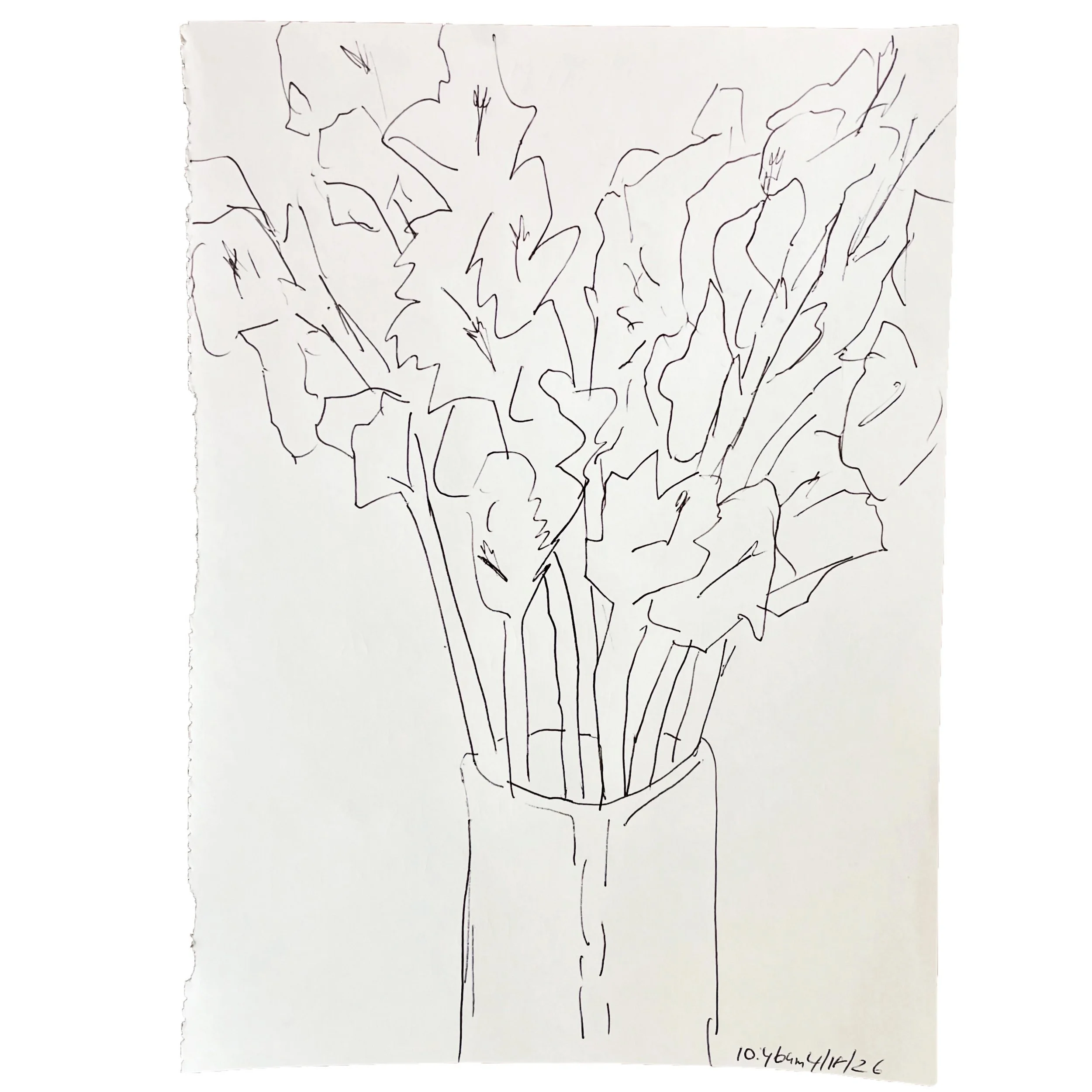 April 18 2026,  11 x 8 