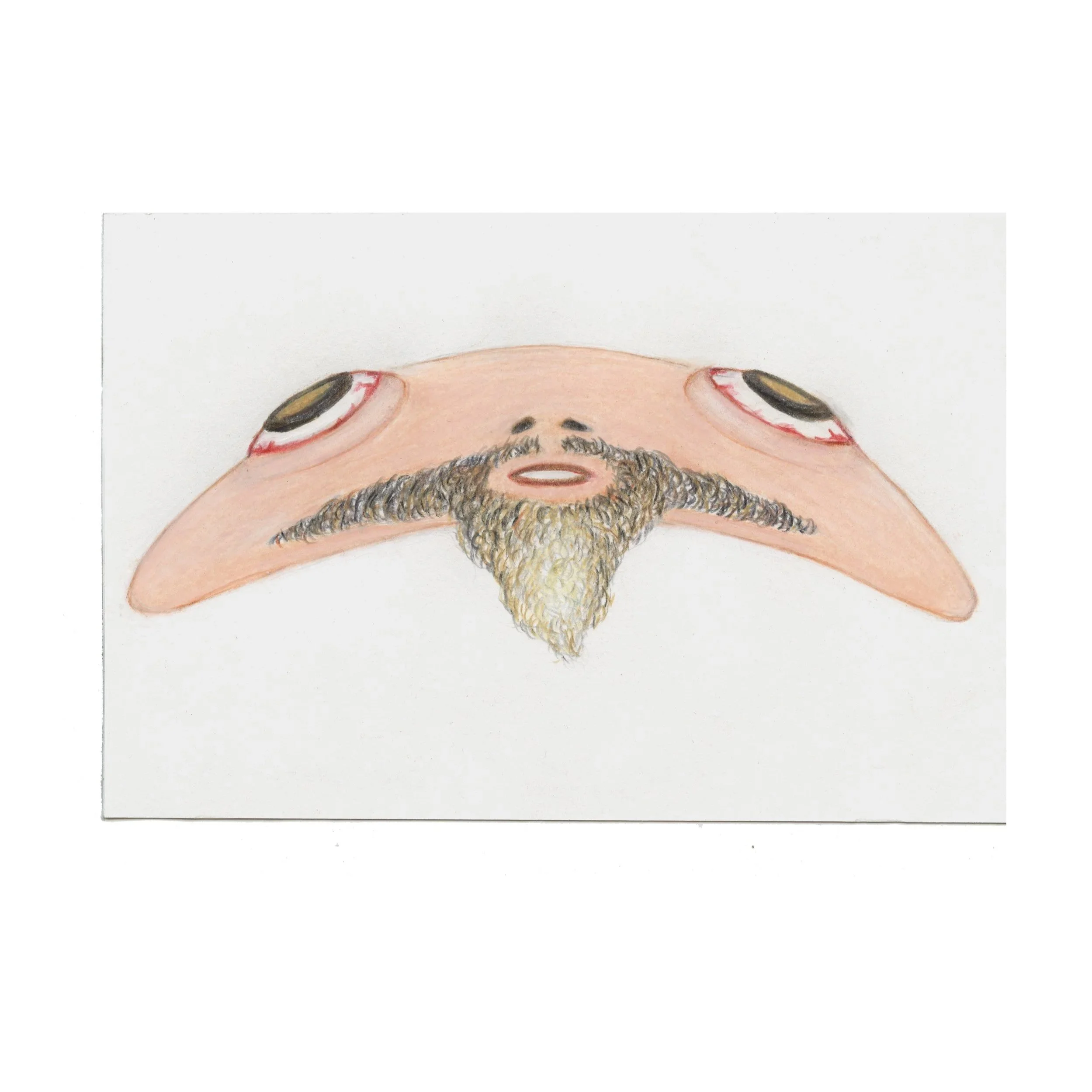 FloppyFace with Goatee vr2, 2023, 4x6, color pencil and graphite on paper