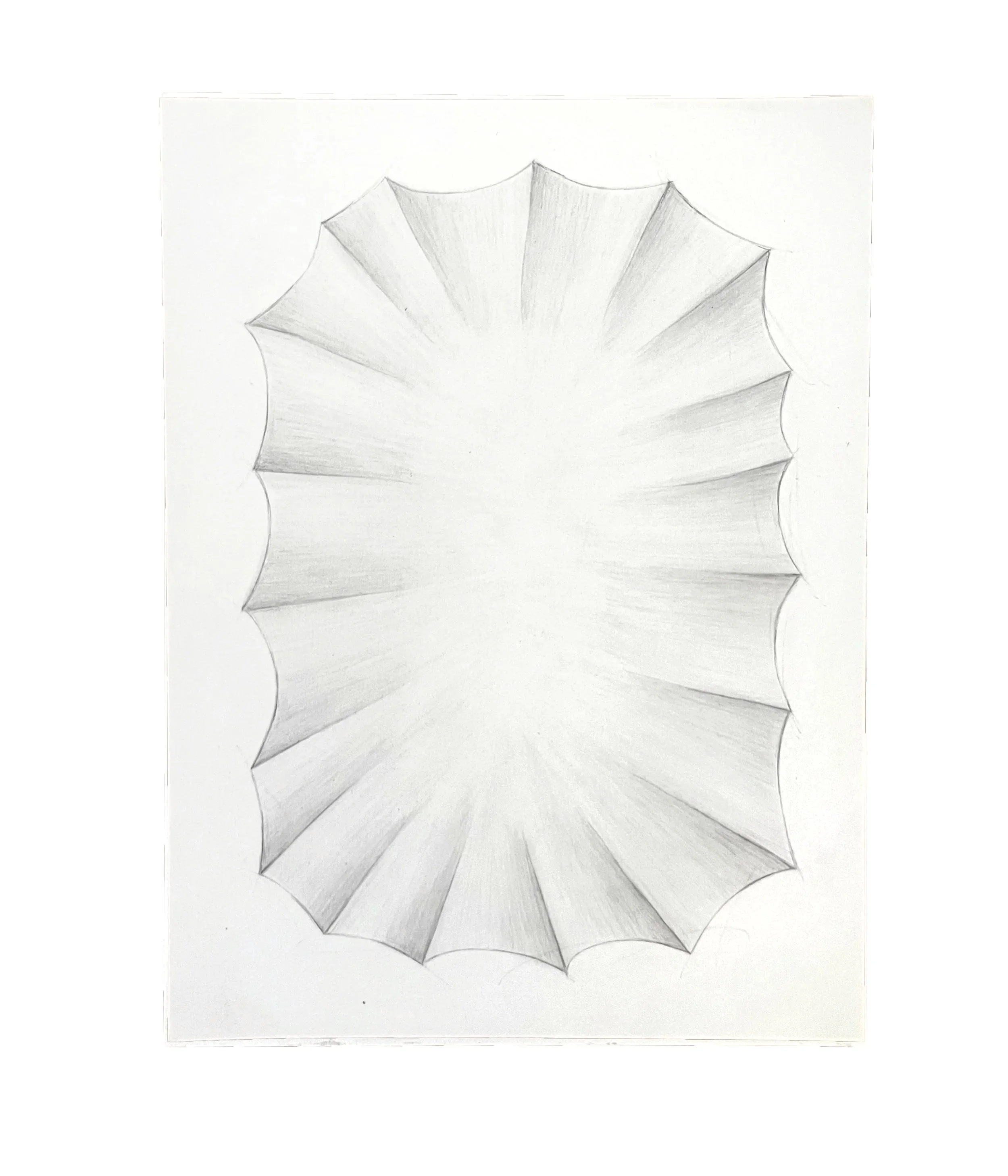 Untitled (19 ribs), 12 x 9, graphite pencil on paper, 2026