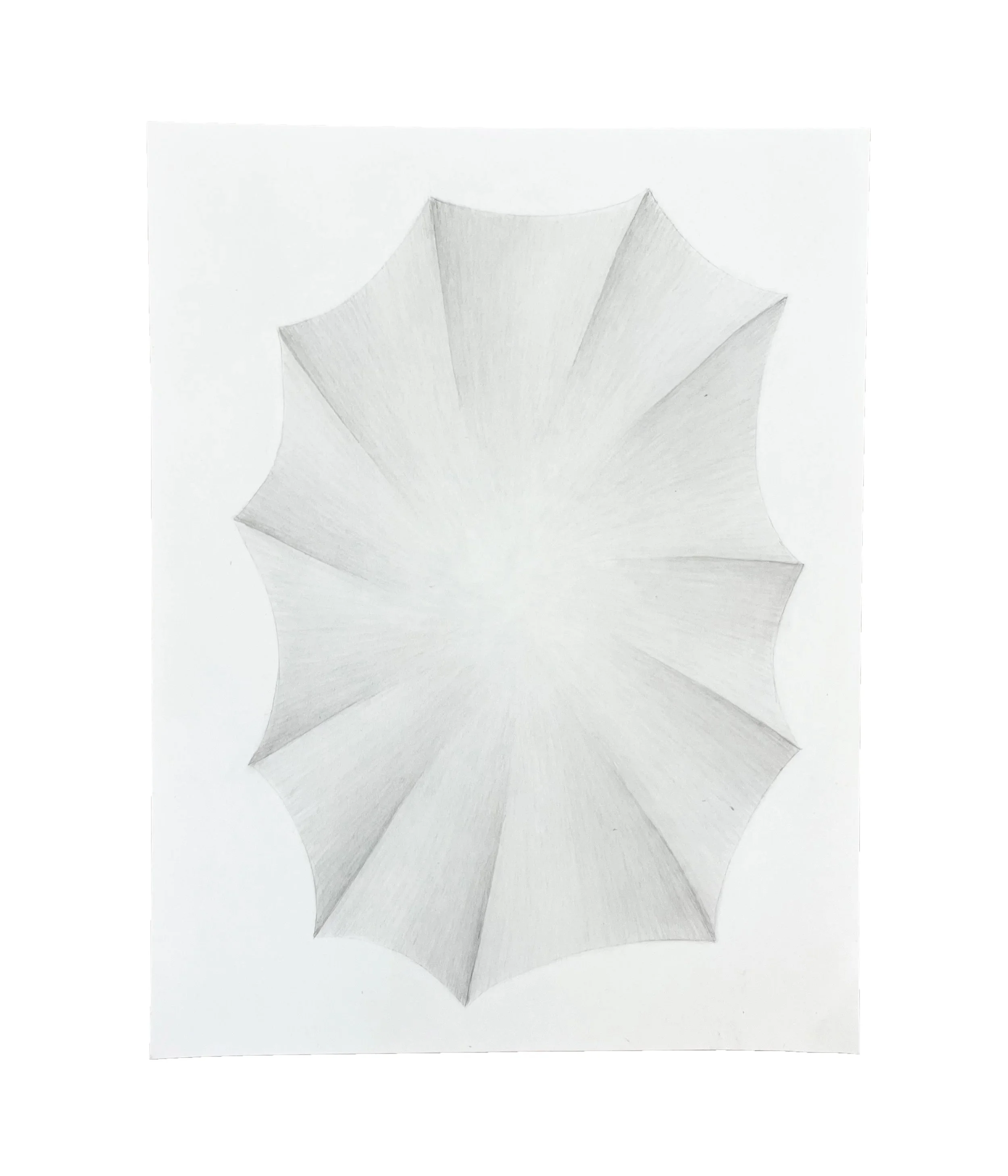 Untitled (11 ribs) 3 of 3, 11 x 8.5, graphite pencil on paper, 2026