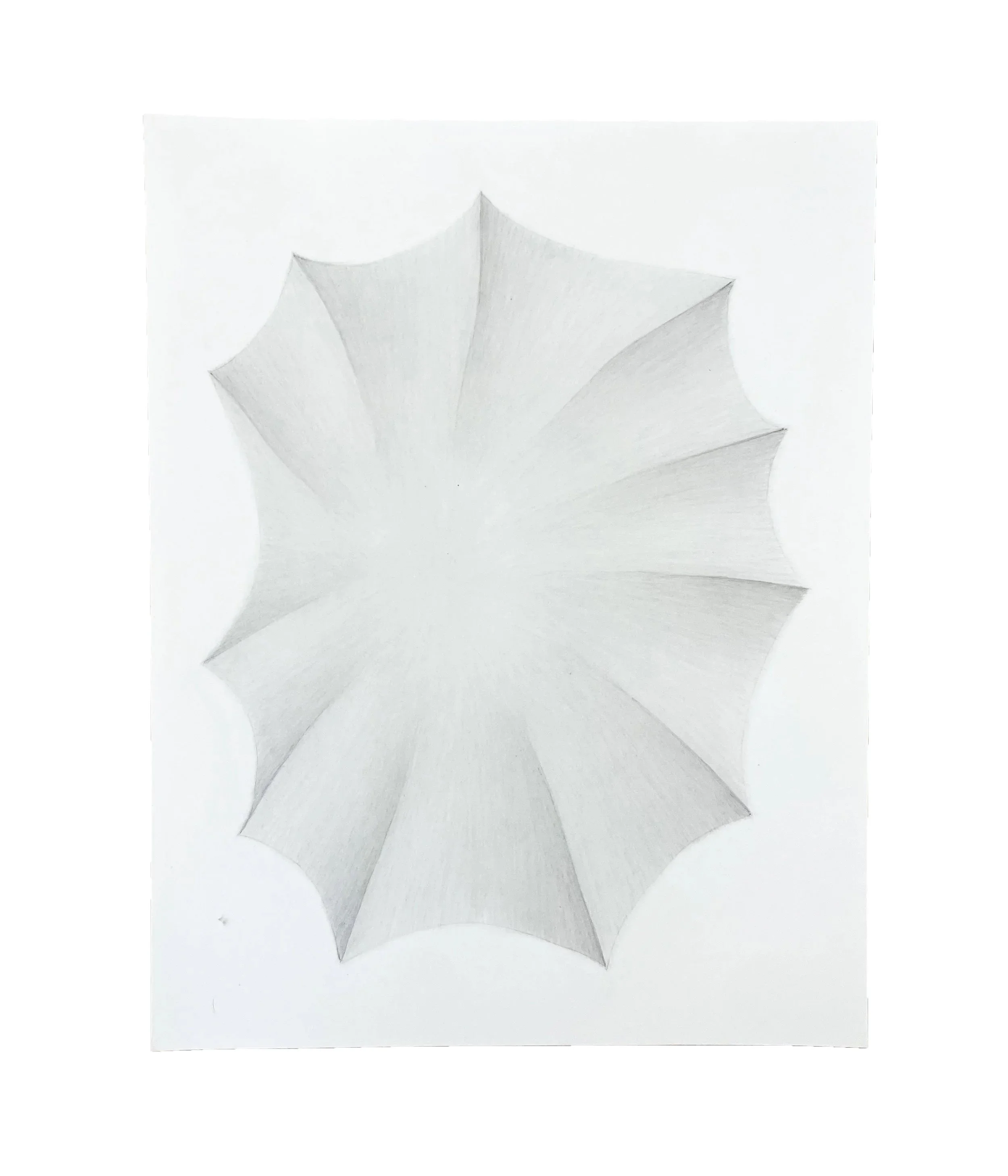Untitled (11 ribs) 1 of 3, 11 x 8.5, graphite pencil on paper, 2026