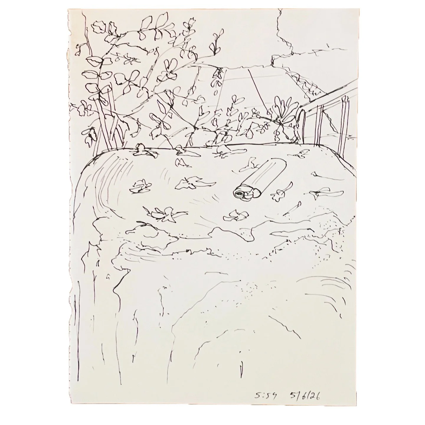 May 6 2026,  11 x 8 