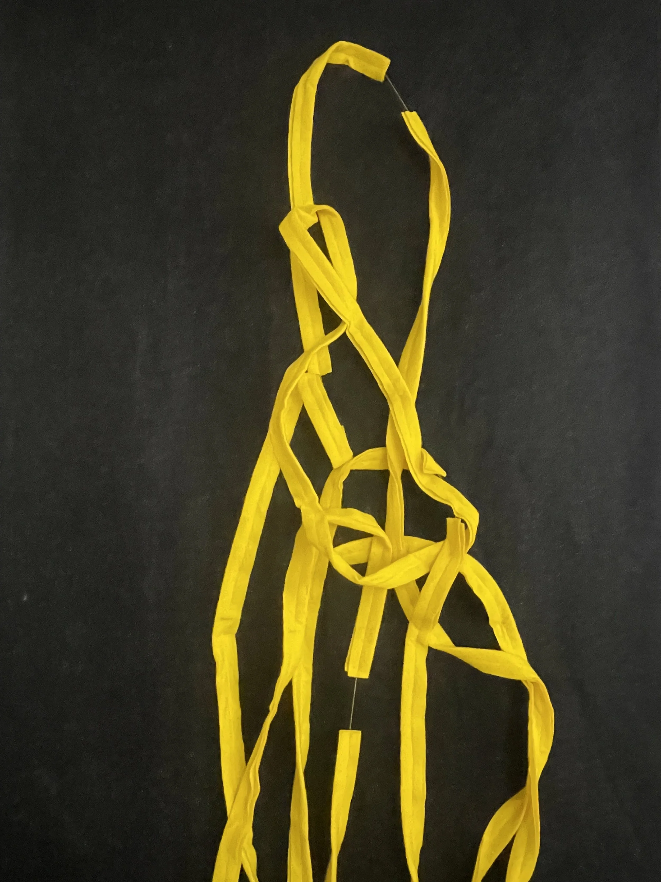 Untitled (the spaghetti tapestry), 2018-2026, 8’ x 3’, black sparkle felt, yellow felt, thread, cotton edging. (detail)