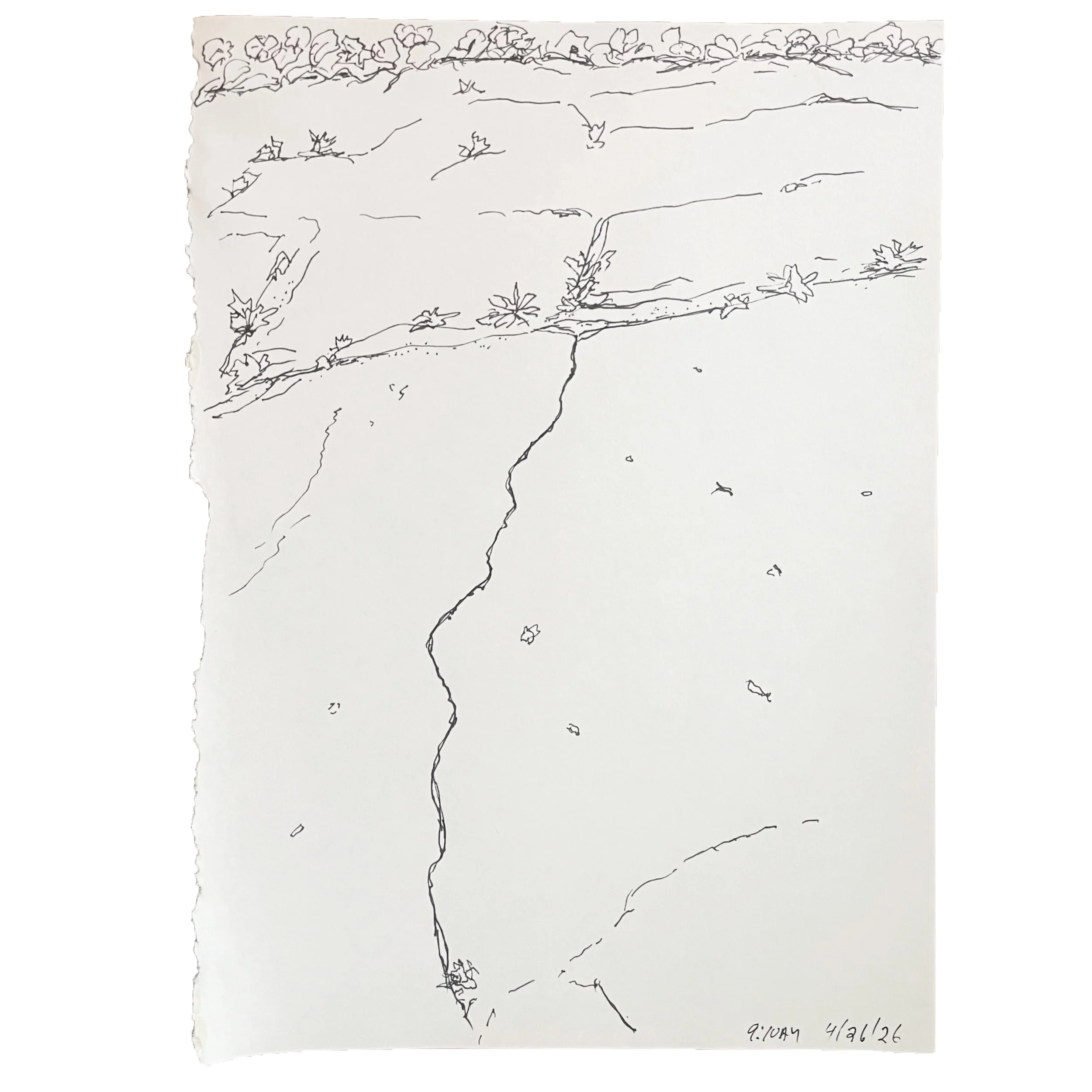 April 26 2026,  11 x 8 