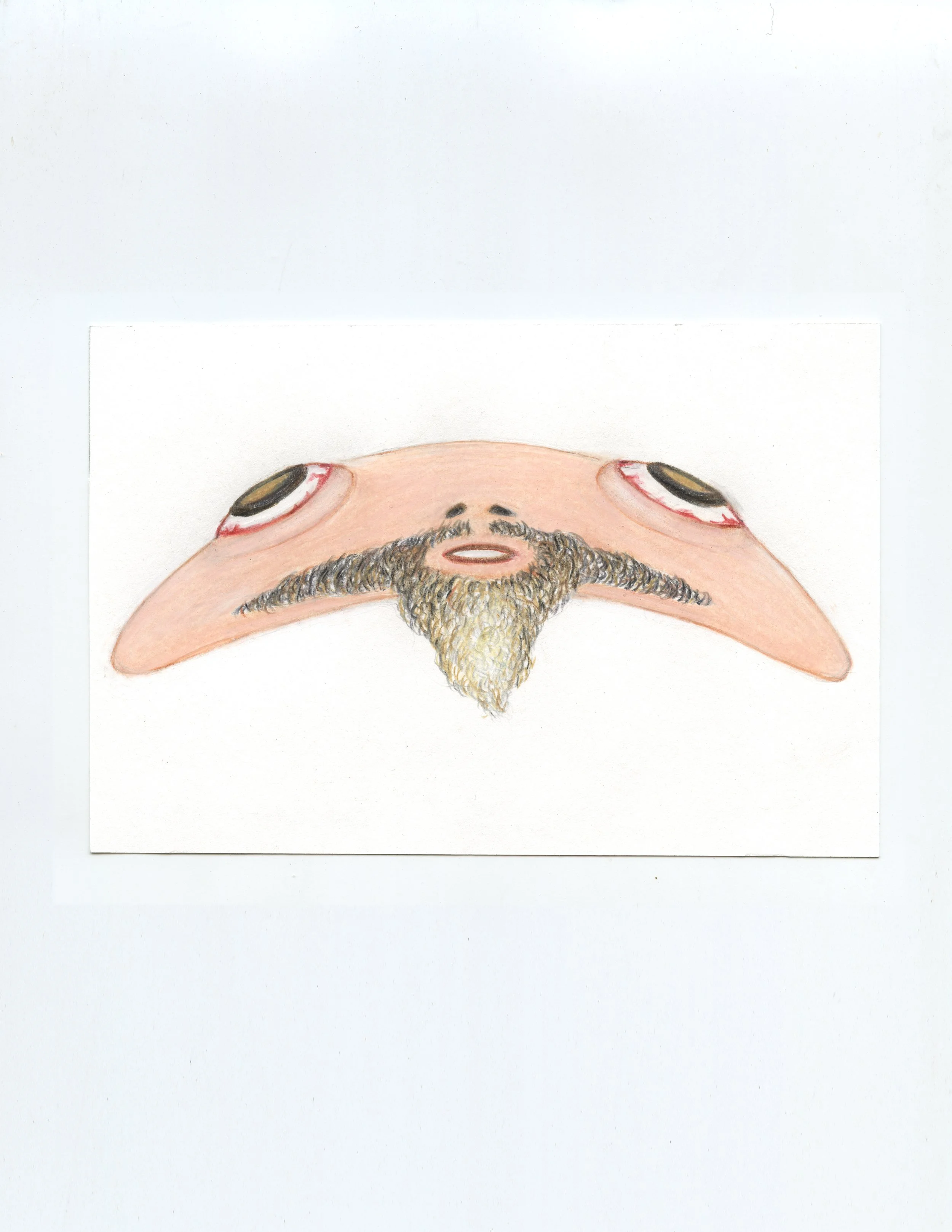 FloppyFace with Goatee vr2, 2023, 4x6, color pencil and graphite on paper