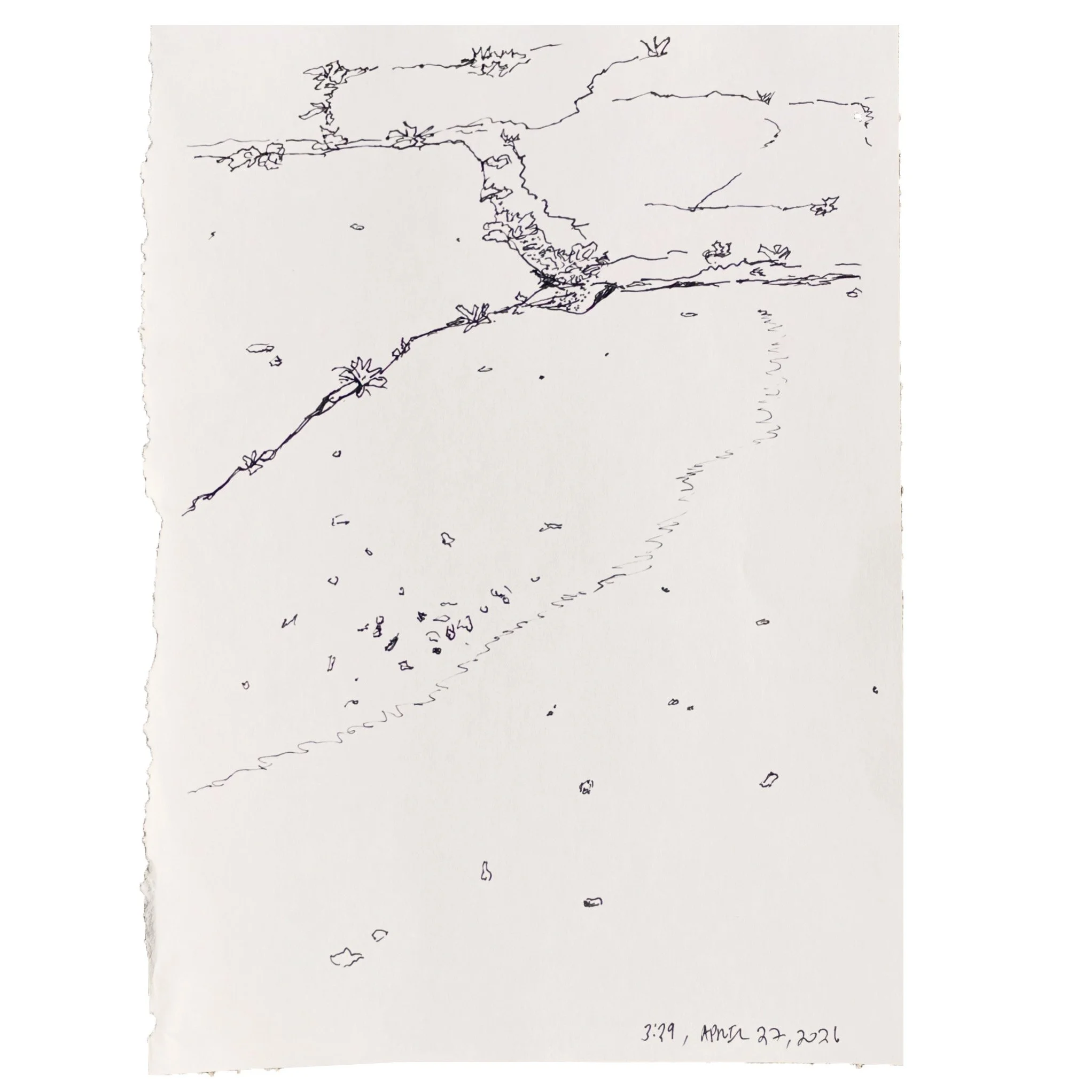 April 27 2026,  11 x 8 