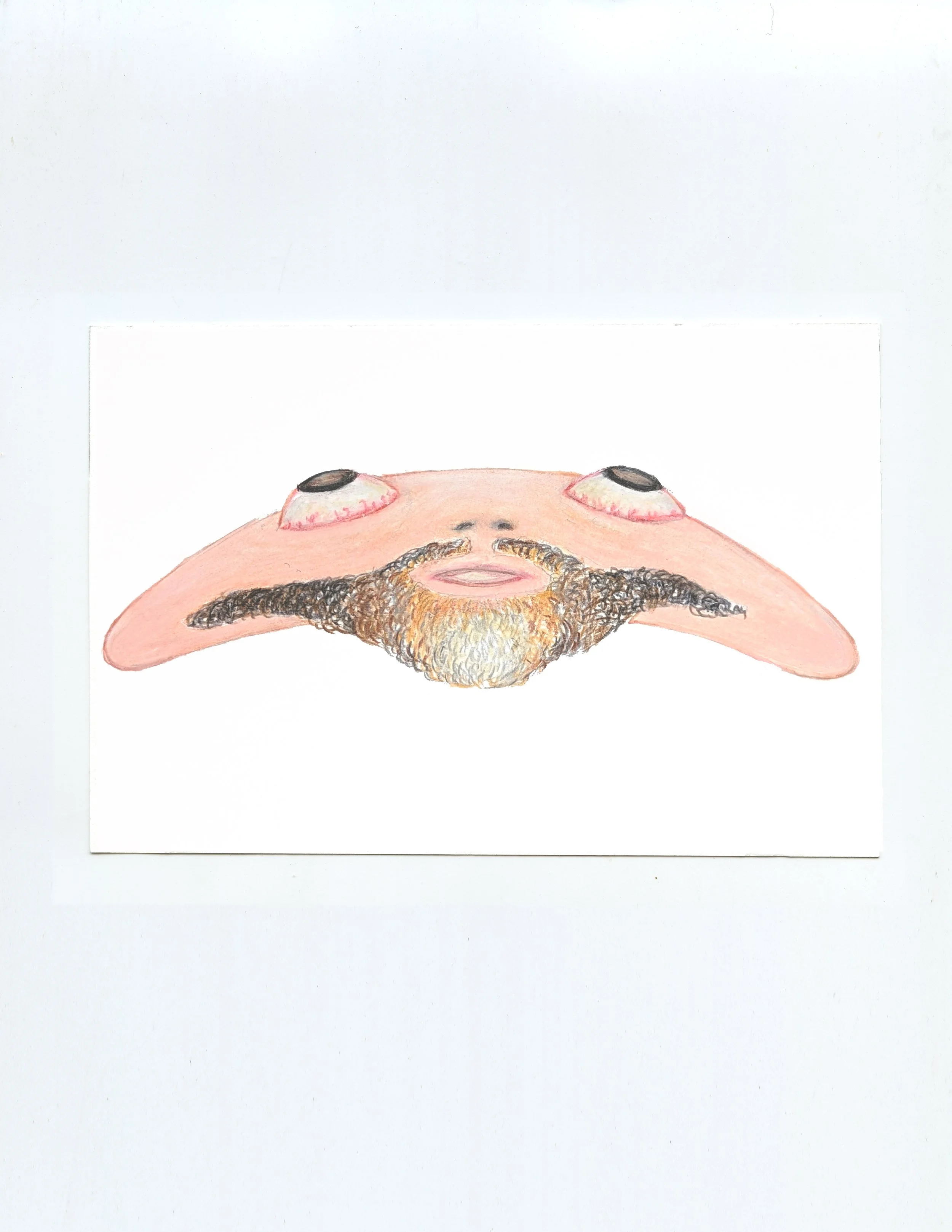 FloppyFace with Goatee, 2023, 4x6, color pencil and graphite on paper, Visual Aids Donation