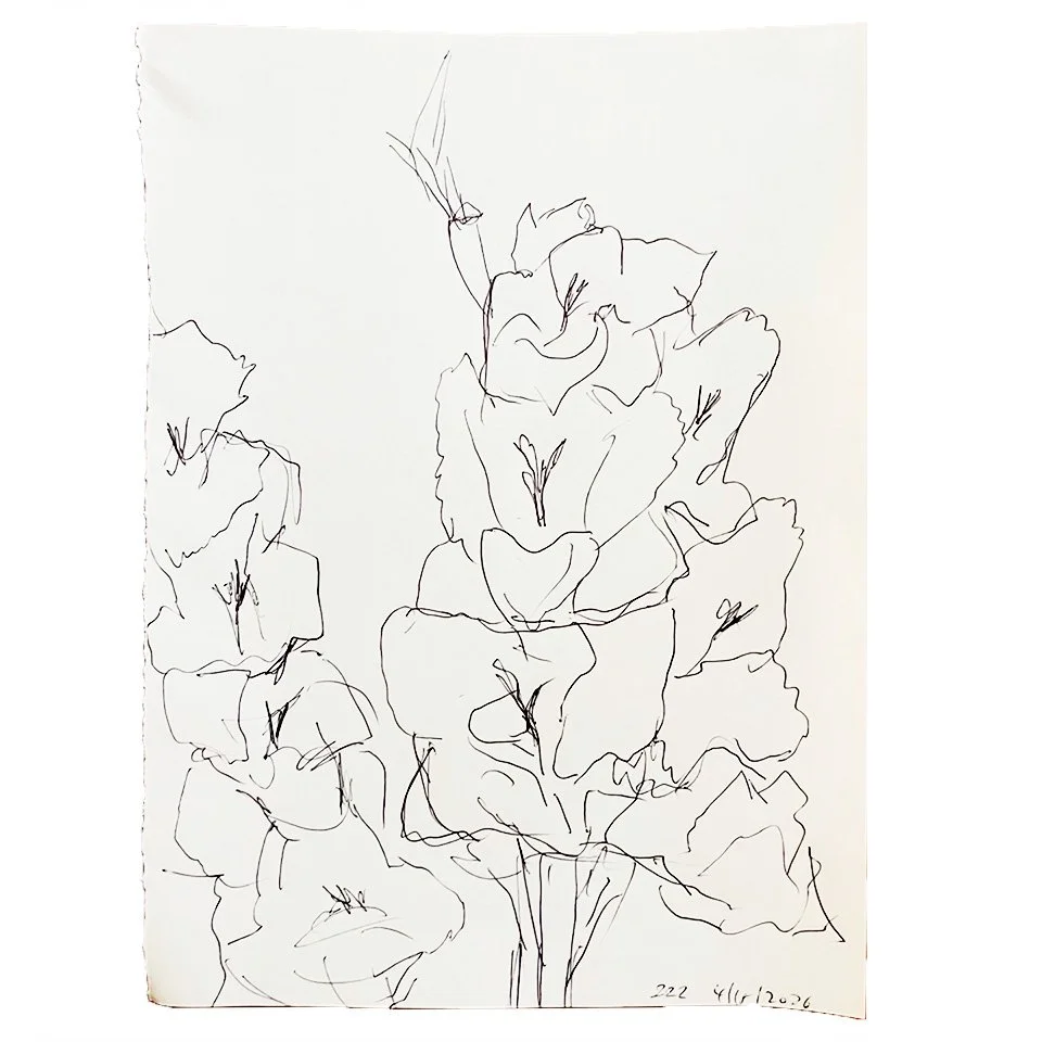 Gladiolus 2:22 pm April 18, 2026