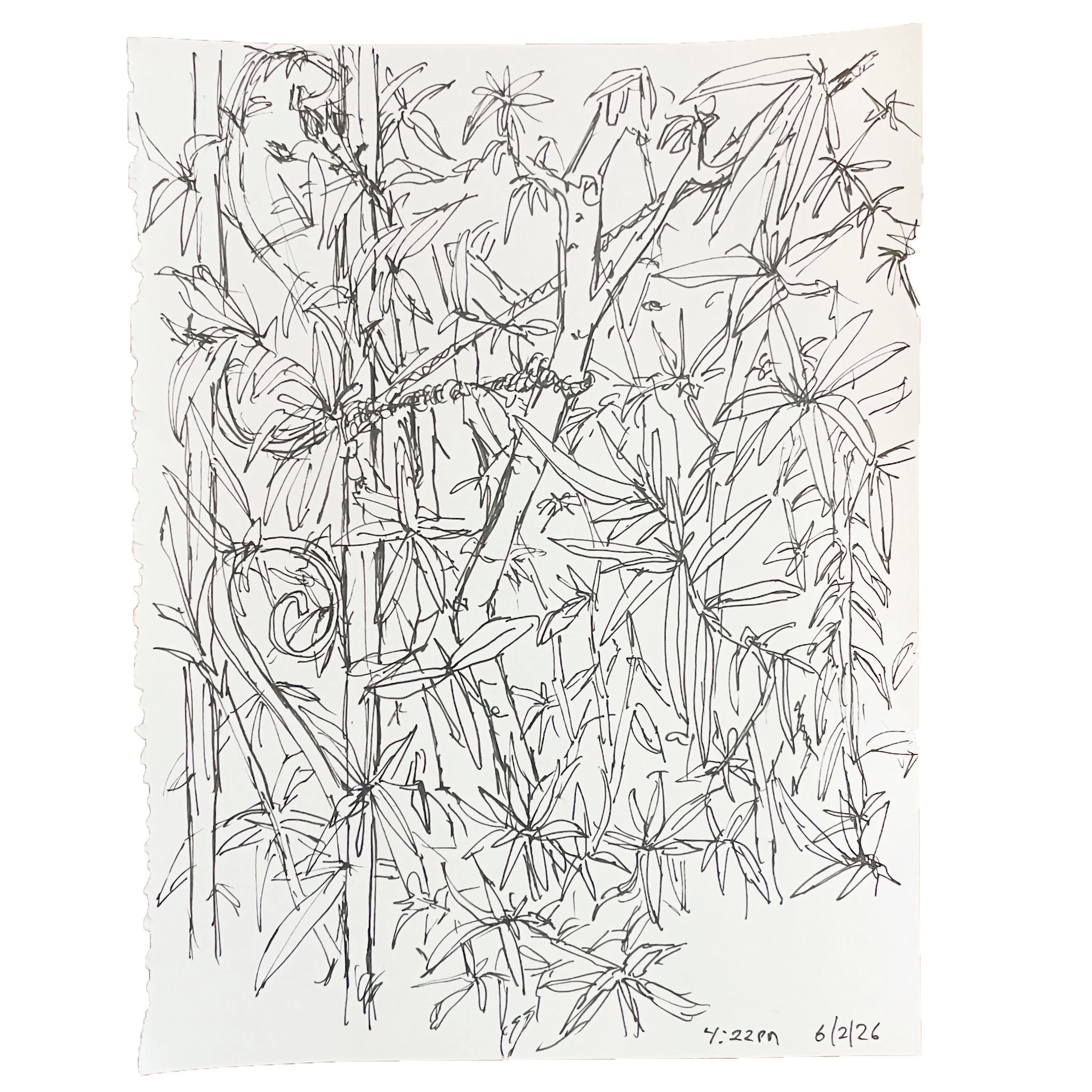 June 2 2026,  11 x 8 