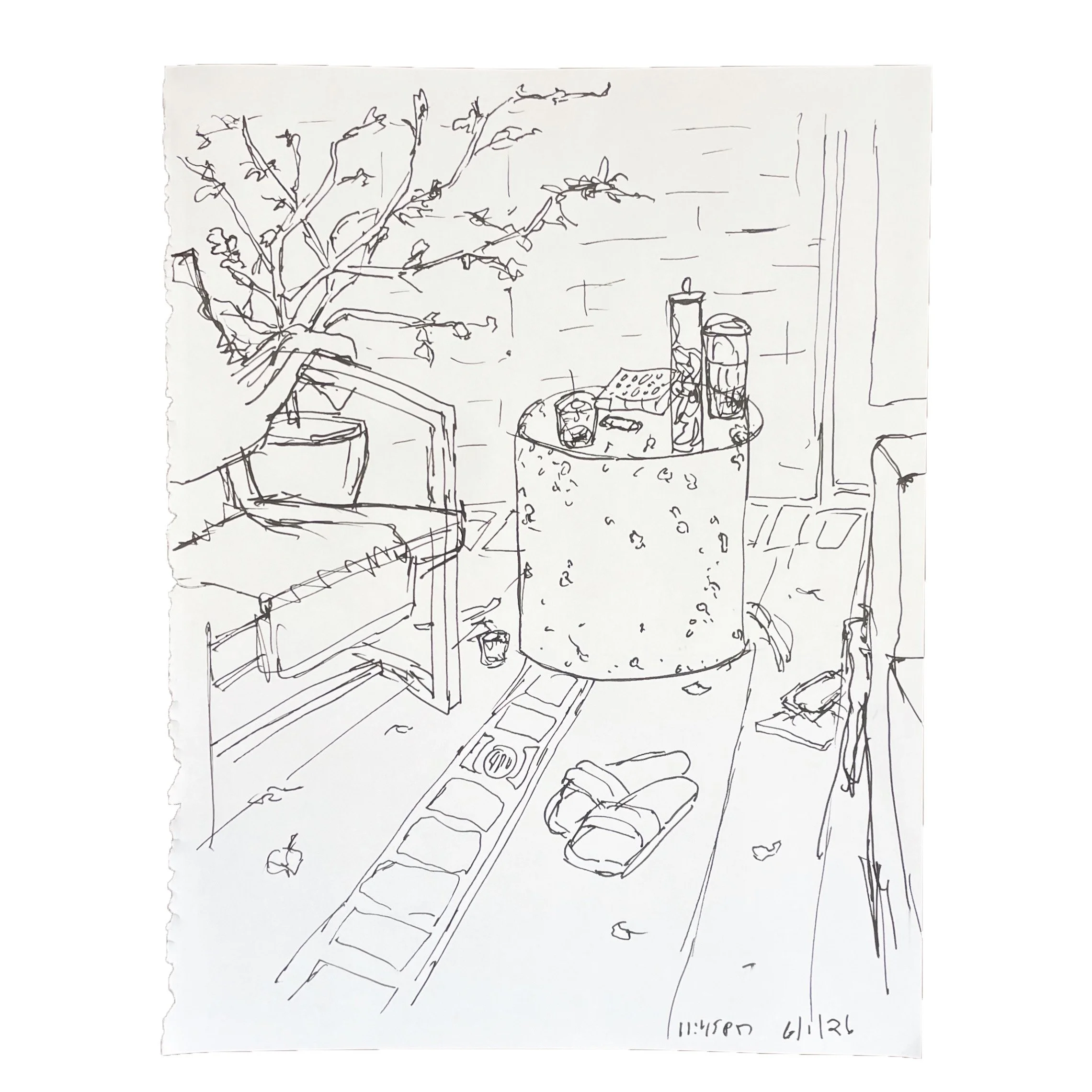 June 1 2026,  11 x 8 