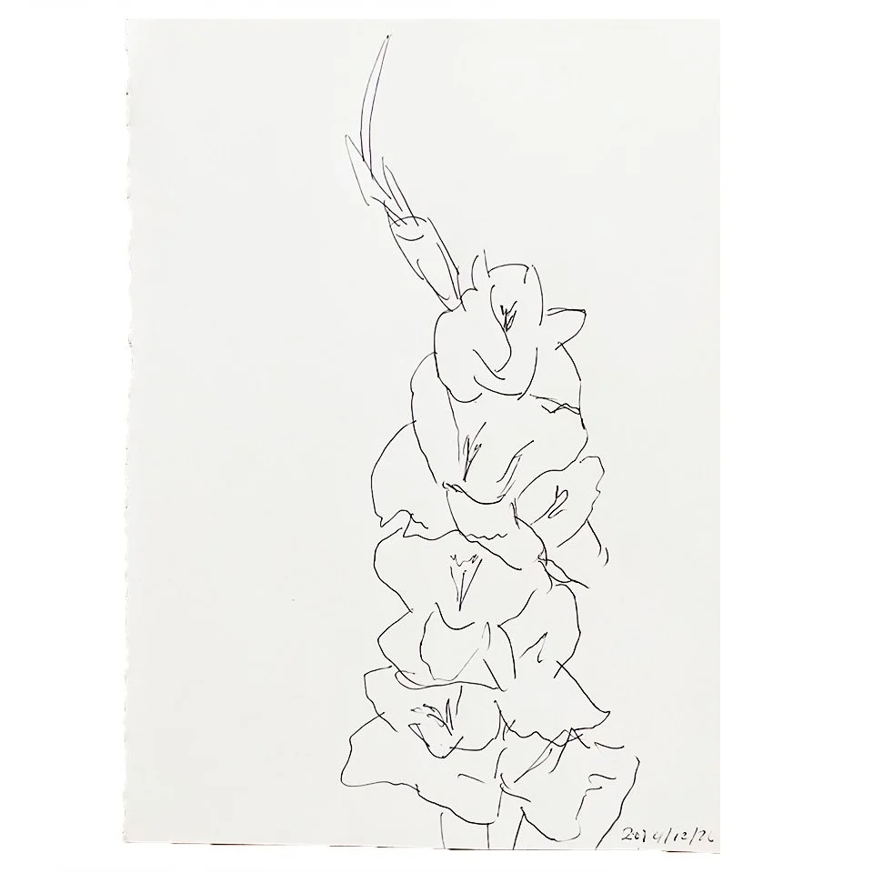 Gladiolus 2:01 pm April 18, 2026