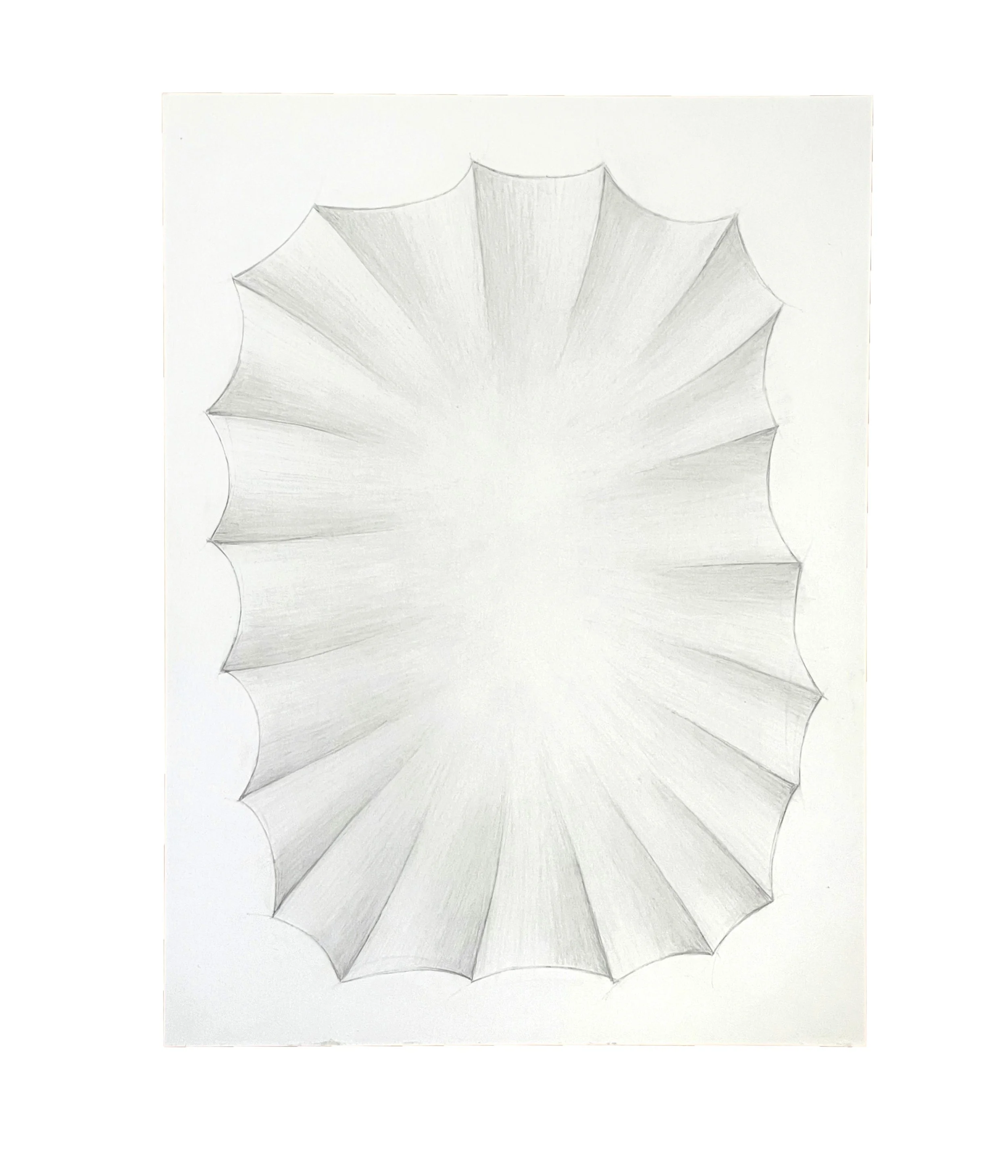 Untitled (20 ribs) 12 x 9, graphite pencil on paper, 2026