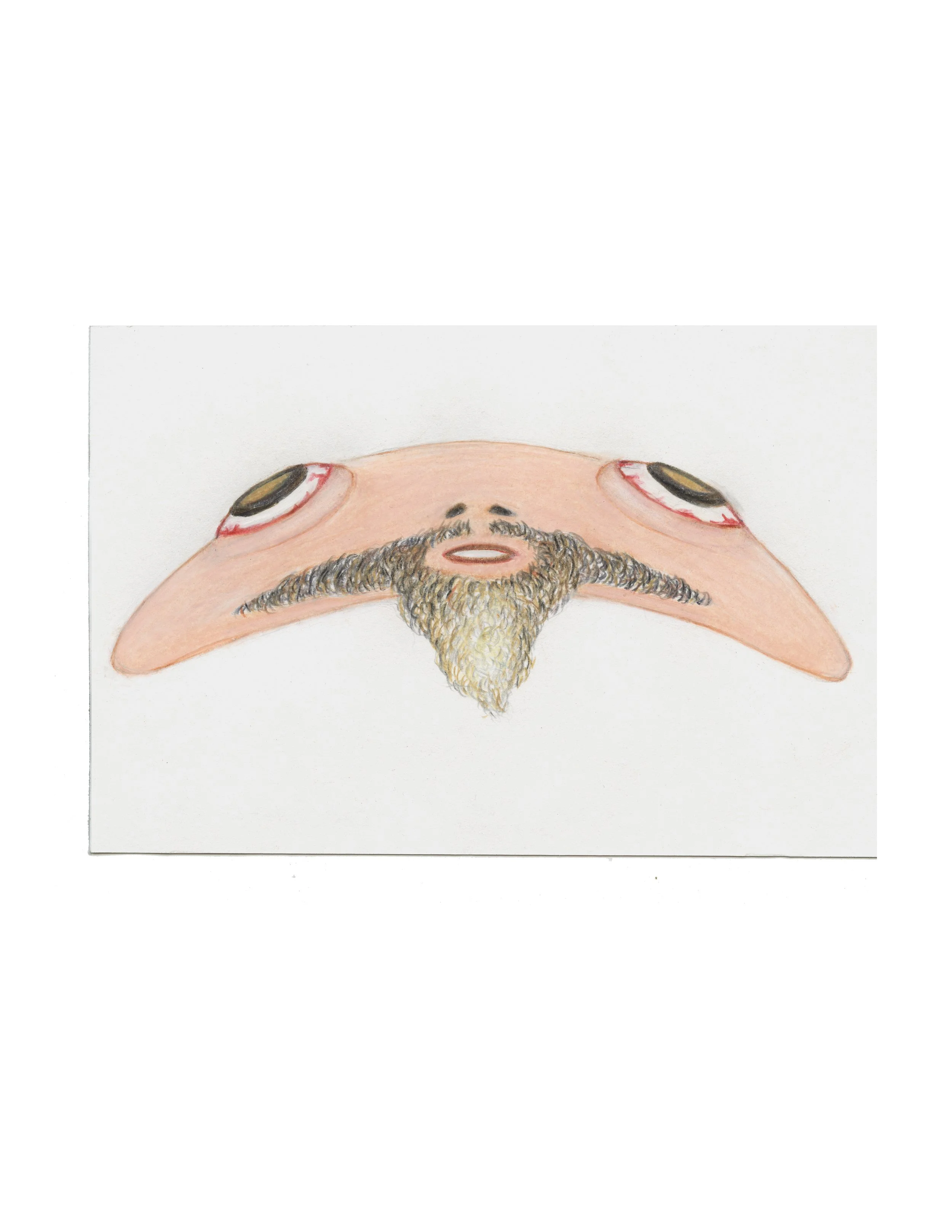FloppyFace with Goatee vr2, 2023, 4x6, color pencil and graphite on paper
