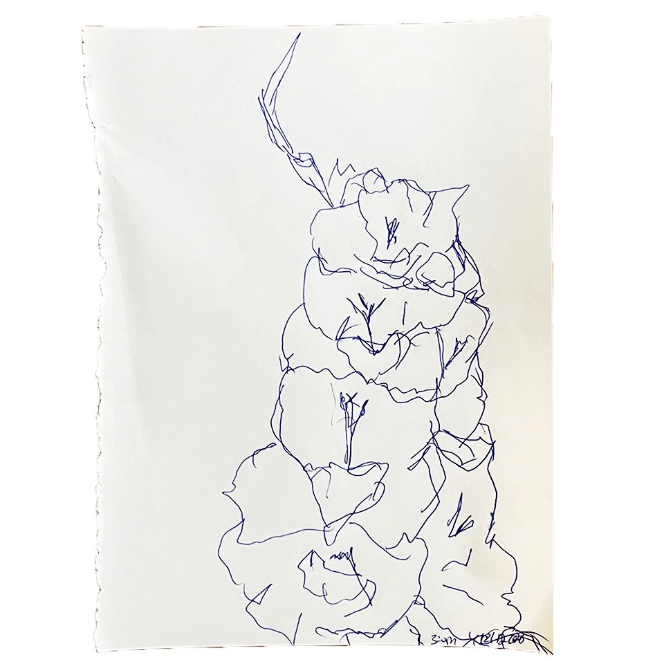 Gladiolus 3:00 pm April 18, 2026