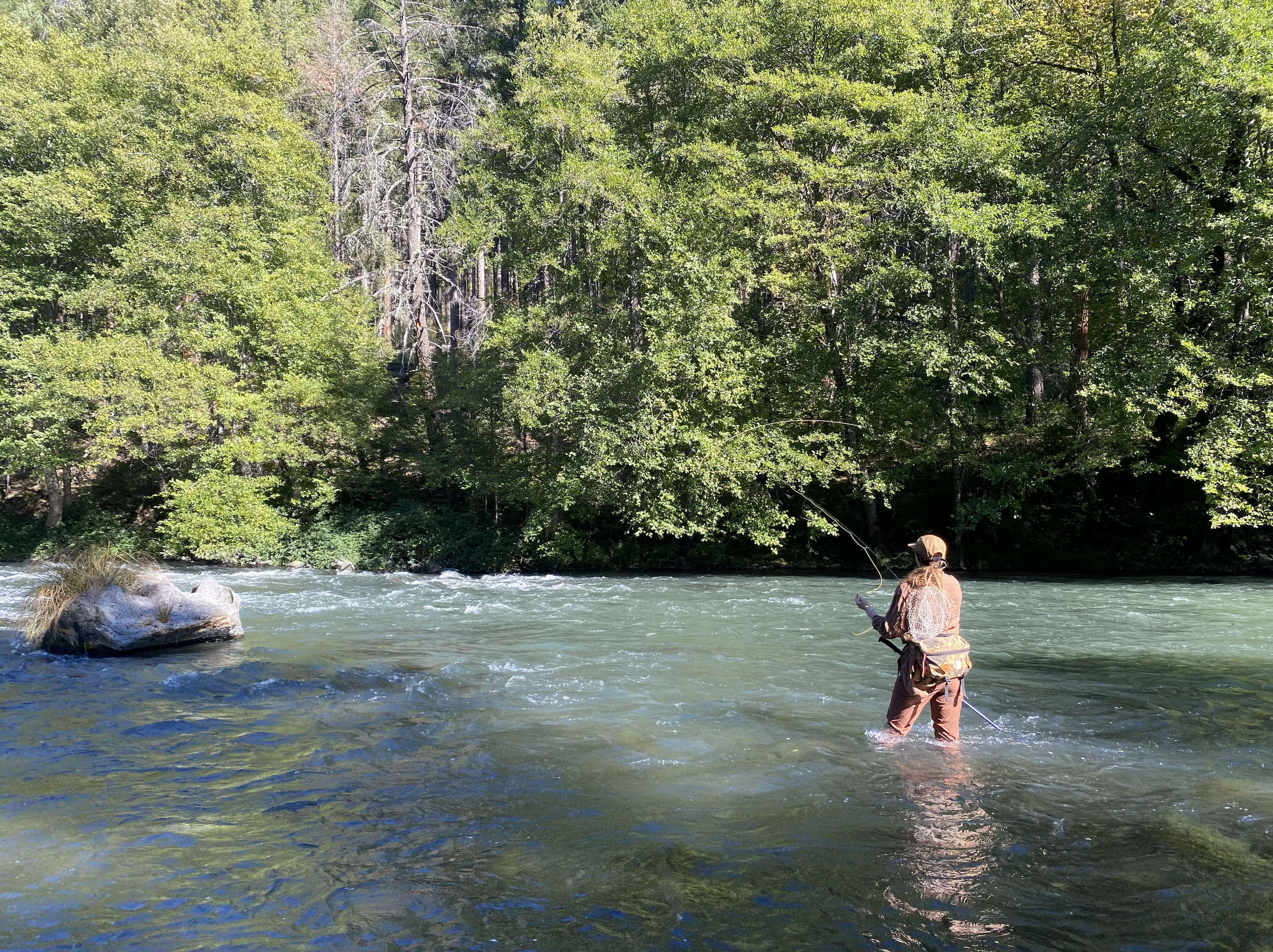 Screen Shot 2024-02-08 at 9.35.53 AM.png