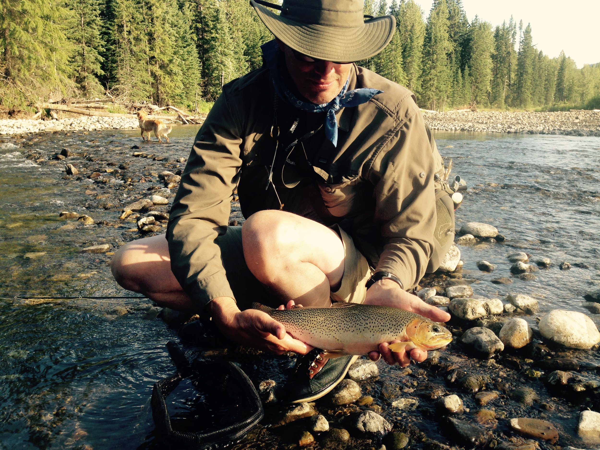 Fly fishing for trout in Alberta Canada <br/> — Journey Afield