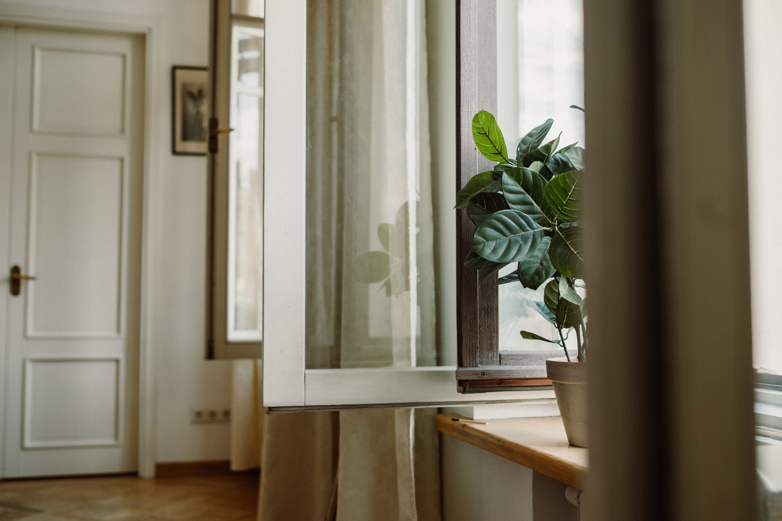 Geöffnetes Fenster mit weißen Vorhängen und einer grünen Zimmerpflanze im Topf auf der Fensterbank.