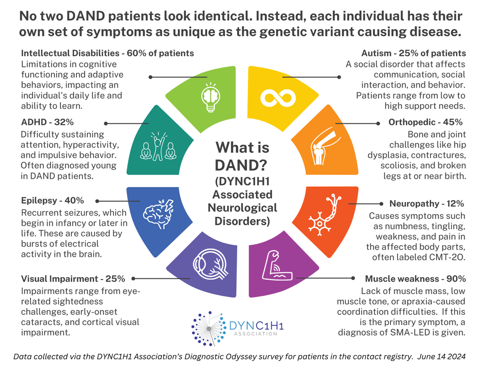 Unraveling the Diagnostic Odyssey: Insights from Our Recent Survey ...