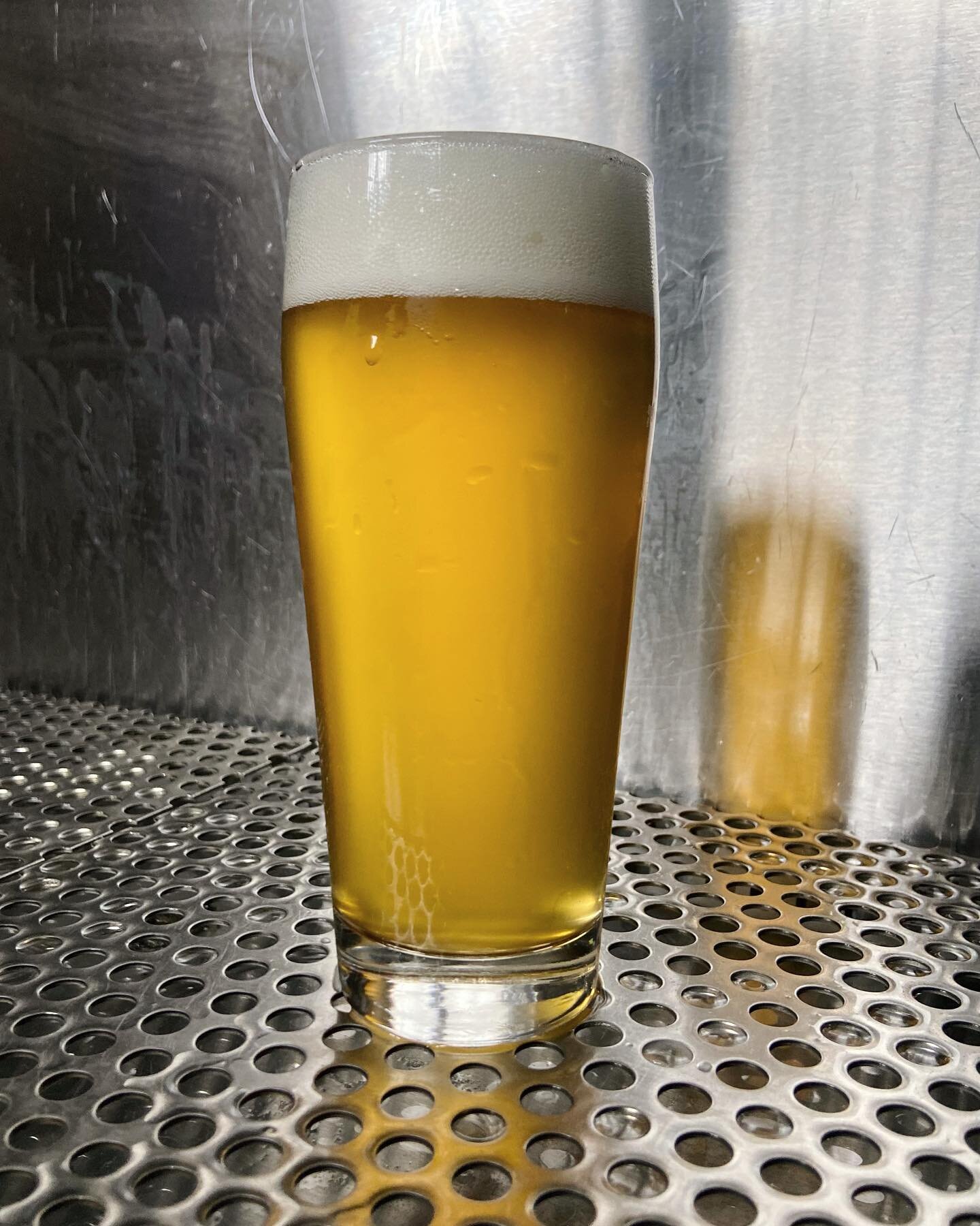💕We love lagers💕

Tonight 2/14, 4pm

We have 4 lagers on the board tonight, and we&rsquo;re excited to debut Tropics Pils. With @berkeley_yeast we brewed our flagship Pilsner but subbed out our standard lager yeast for their thiolized Chill Tropics