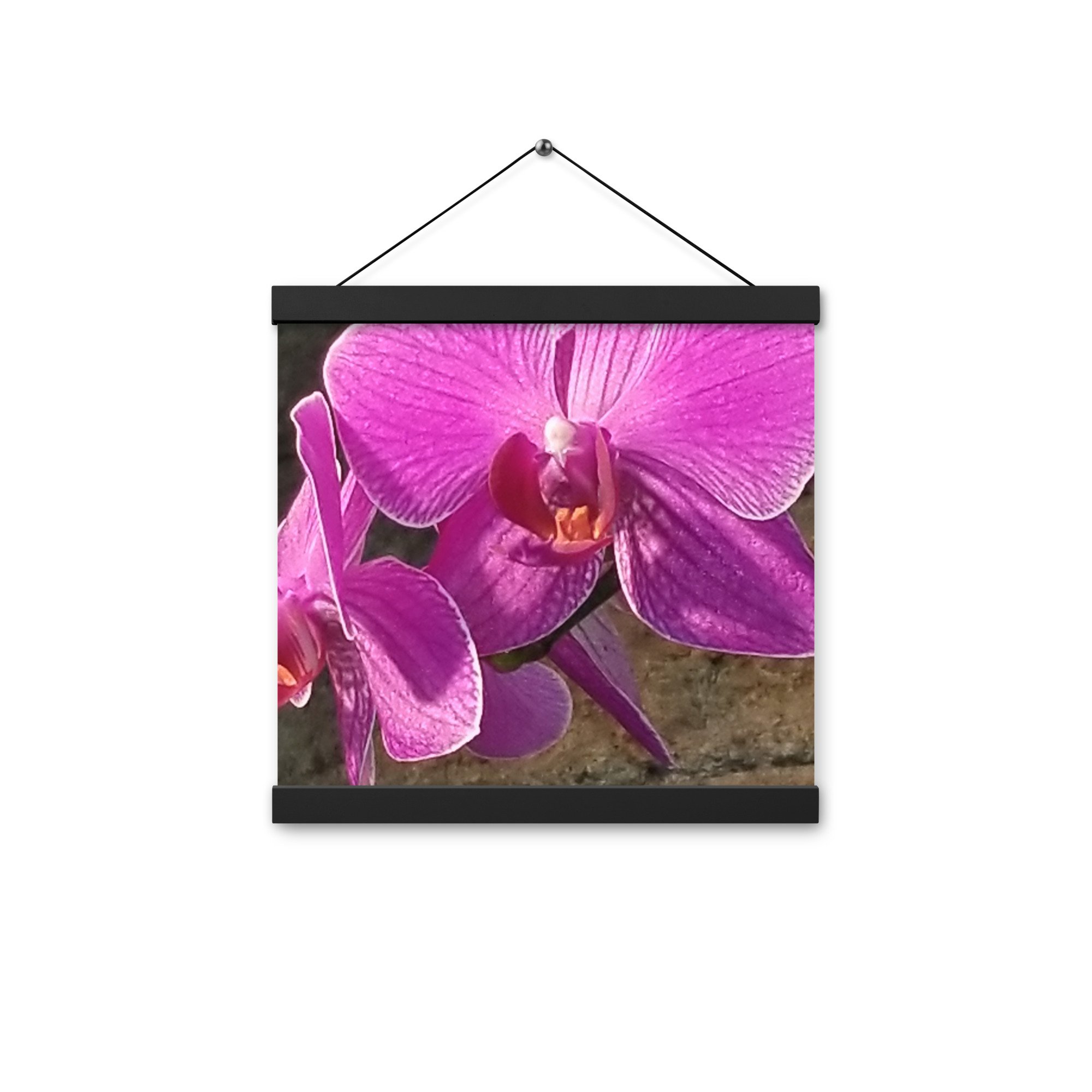enhanced-matte-paper-poster-with-hanger-(in)-black-12x12-front-653fdb2f32107.jpg