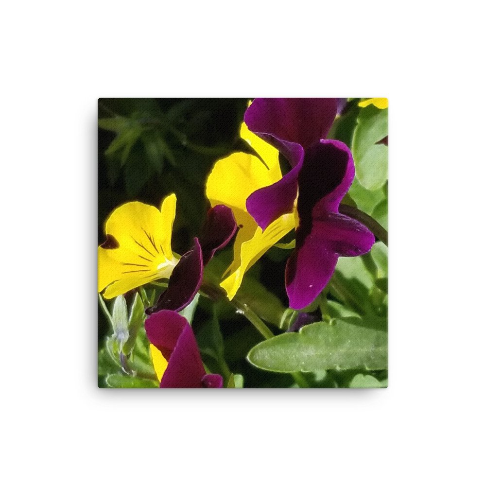 canvas-(in)-12x12-wall-65401b64b3d9d.jpg
