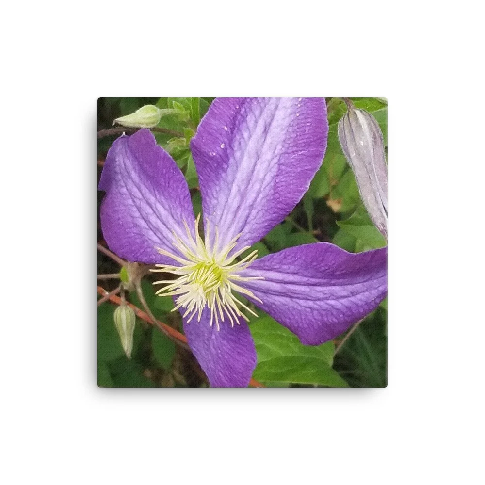 canvas-(in)-12x12-wall-654023d74d4d7.jpg