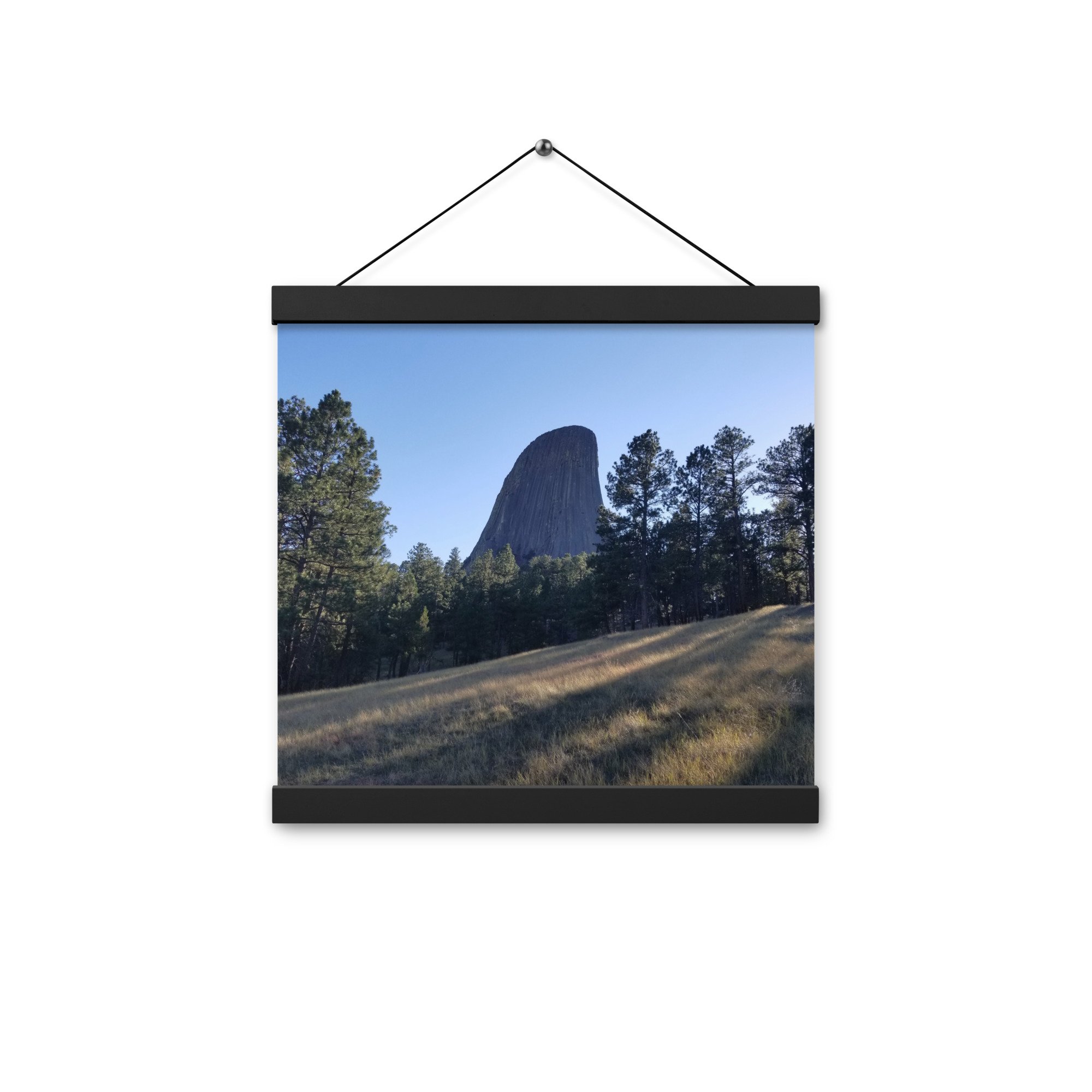 enhanced-matte-paper-poster-with-hanger-(in)-black-12x12-front-654413b9a8dec.jpg